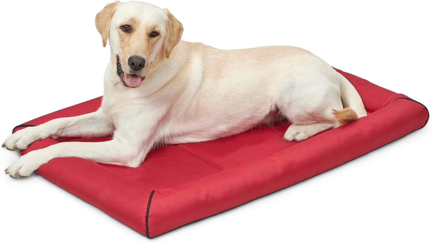 MidWest Homes for Pets Intermediate QuietTime MAXX Ultra-Rugged Dog Bed, Water & Odor Resistant, Bolstered Edge, Non-Slip Bottom, Fits 36-inch Crates, Black