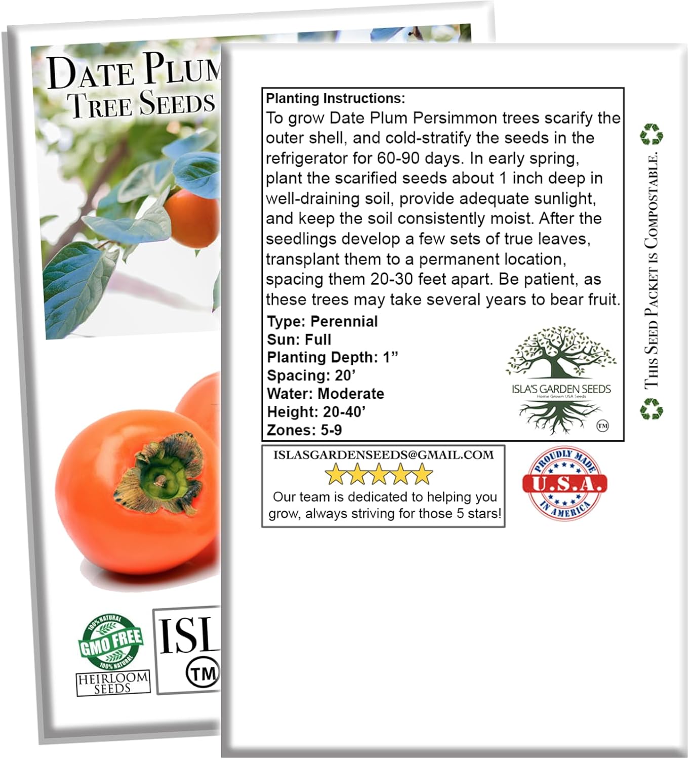 Date Plum Persimmon Tree Seeds (Diospyros Lotus) – 30+ Non-GMO & Heirloom Seeds, Exotic & Rare Fruit Tree, 80% Germination Rate