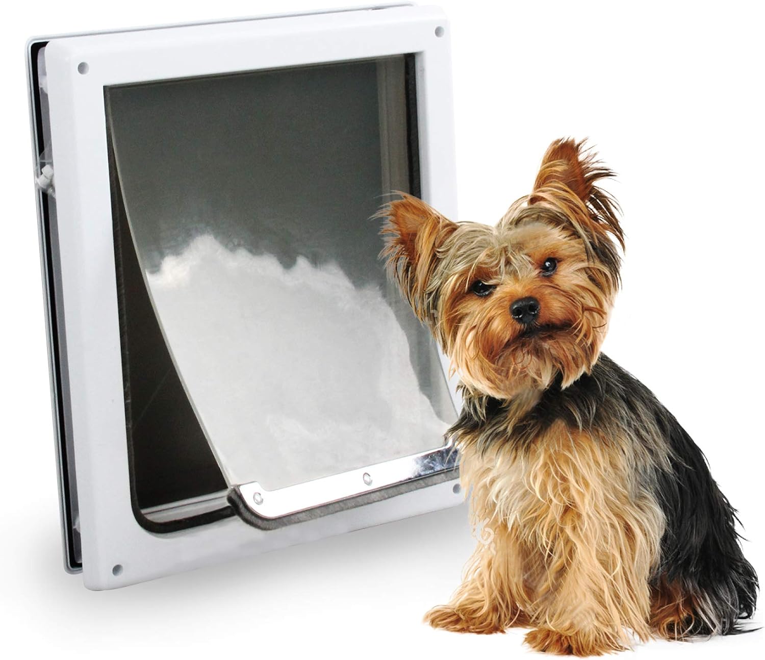 Pet Flap Door 2 Ways Locking Dog Wall Entry Pet Door with Transparent Flap for Dogs (Medium)