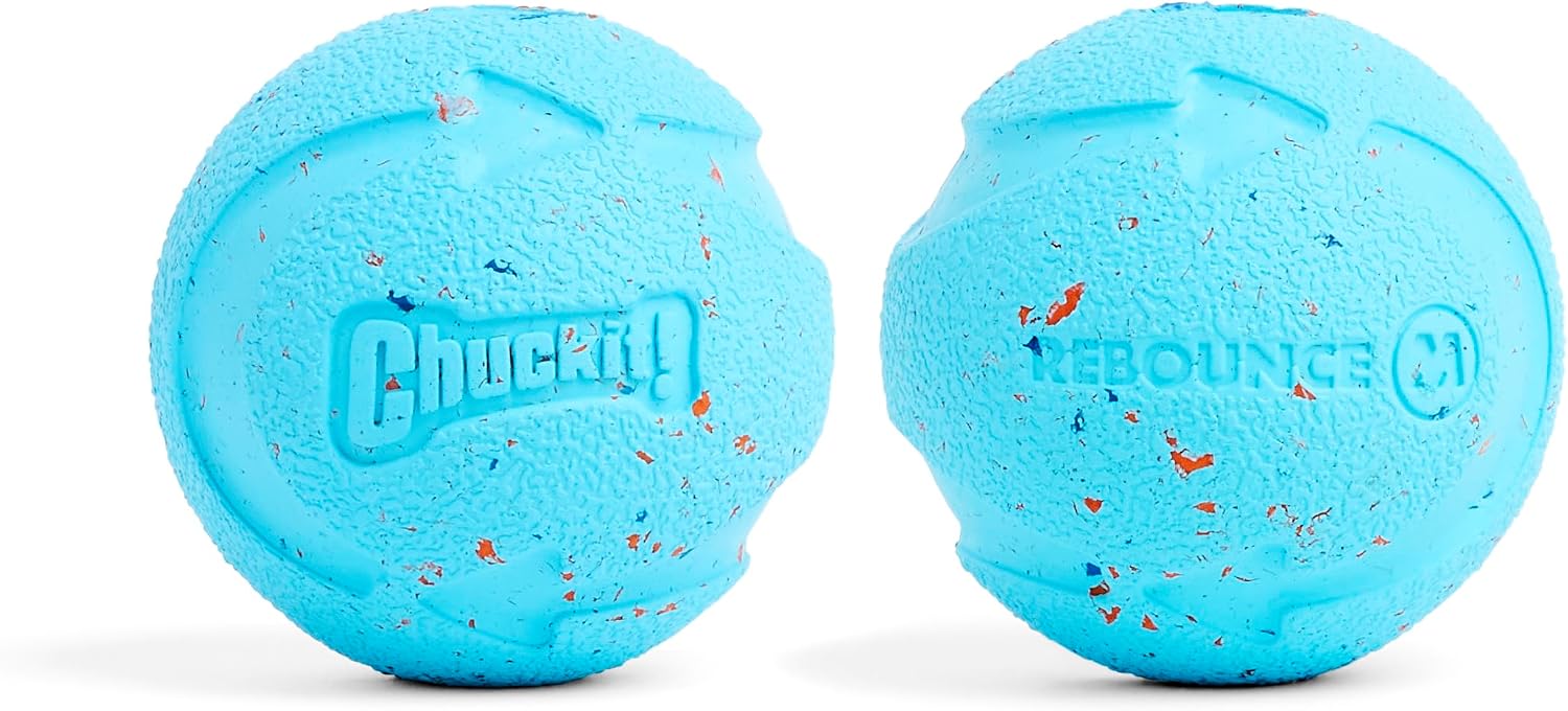 Chuckit! Rebounce Ball Dog Toy, Medium 2.5 Inch, for Dogs 20-60 lbs, Blue | Bouncy rubber build, unpredictable bounce pattern, durable outdoor construction, pack of 2 balls, great for playtime today