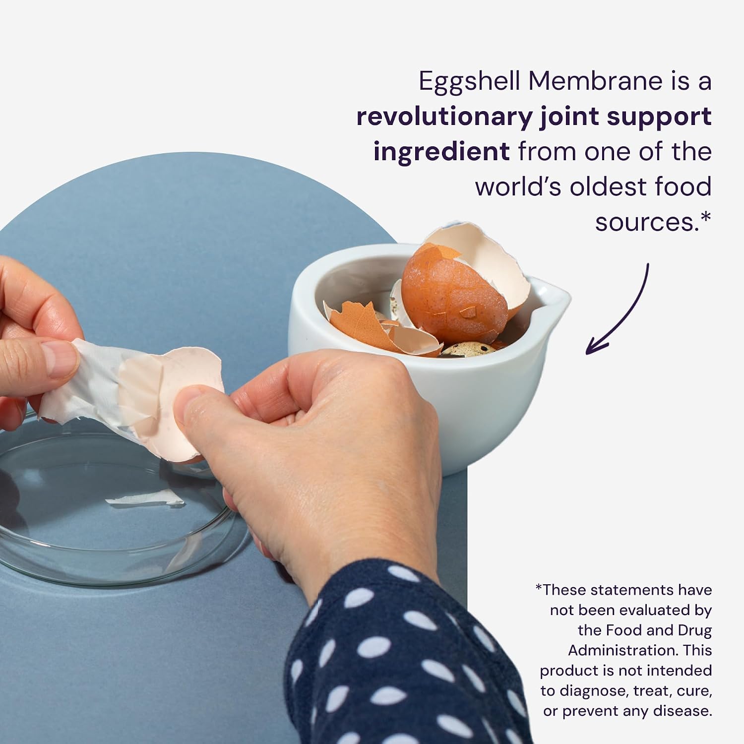 Healthy Origins NEM Eggshell Membrane 500 mg, 30 Veggie Caps