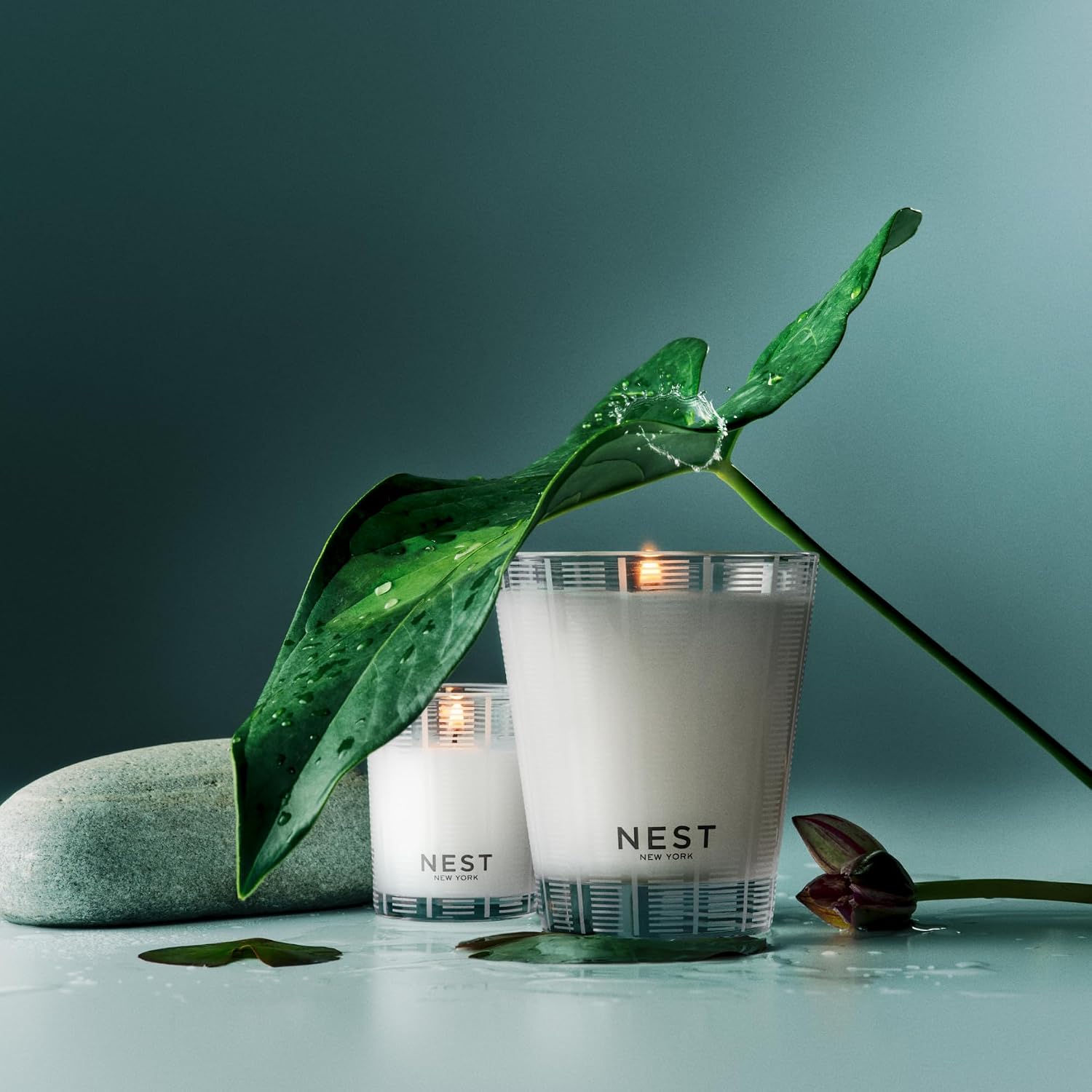 NEST New York Scented Classic Candle, Grapefruit - 8.1 oz - Up to 60-Hour Burn Time - Reusable Glass Vessel