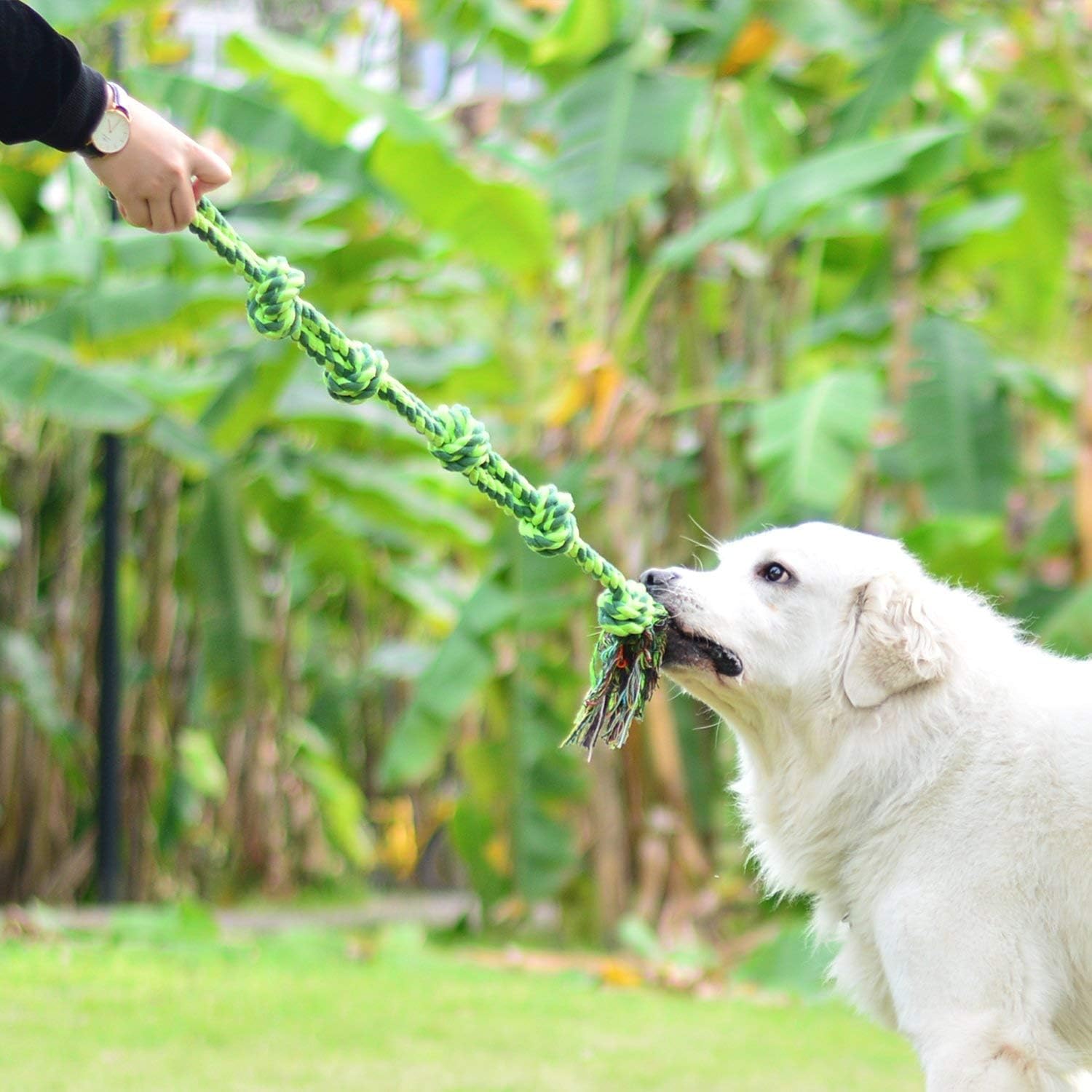 Vitscan Dog Toys for Large Dogs and Aggressive Chewers, Durable Dog Toy,5-Knot Rope Tug,Heavy Duty Chew Sturdy Cotton Knot Ropes Toy for Large Breed Dogs,Indestructible Rope for Tug-of-War Play