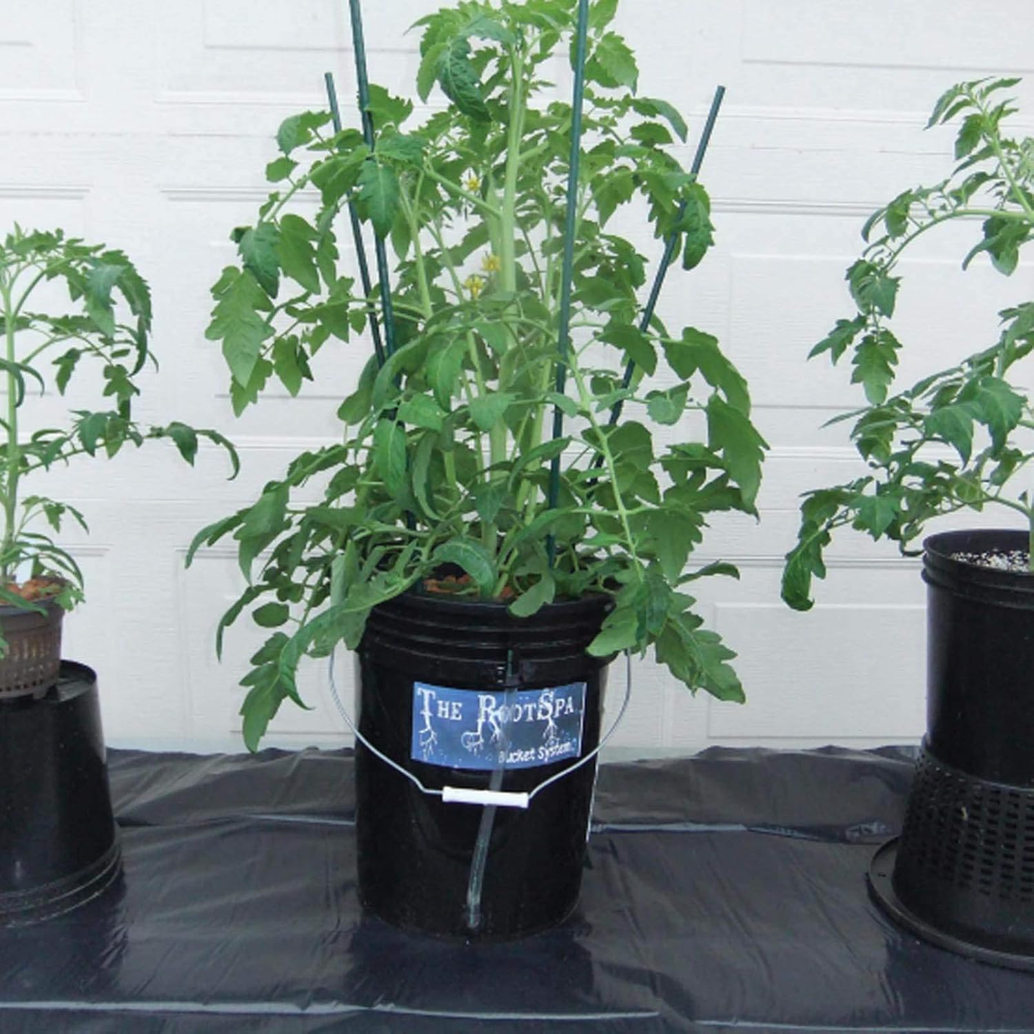 Hydrofarm RS5GALSYS Root Spa Deep Water Culture Bucket System, 5 Gallon, black | 8 in Grow Basket, Air Pump Included, 1/2 in Grommet And Elbow, 1/4 in Black Tubing, Pebble Media Sold Separately