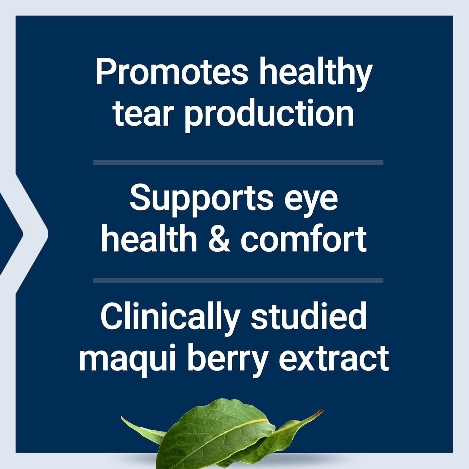 Life Extension Tear Support with MaquiBright®, 60 mg, maqui berry extract for dry eyes, supports eye health, encourages tear production, gluten-free