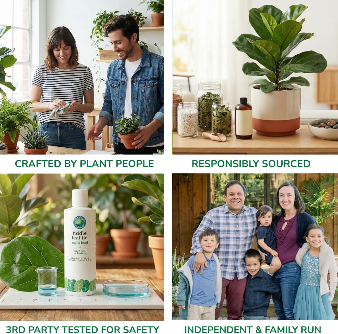 Fiddle Leaf Fig Plant Food, 3-1-2 NPK Liquid Fertilizer for Ficus, 8 oz
