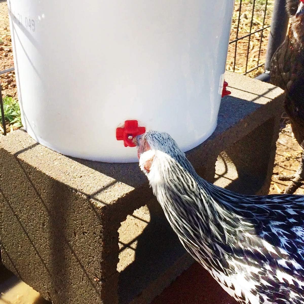 20 Pack Chicken Waterer Nipples for Chicks to Chickens with Drill Bits | Water Saving Design, Easy Install Leakproof Poultry Watering System, Chicken Coop Accessories, Quail Water Feeder