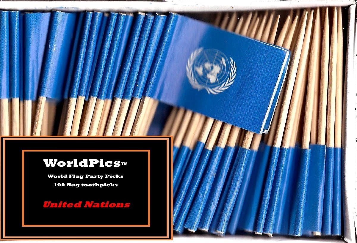 One Box of 100 Nicaragua Toothpick Flags, 100 Small Mini International Flag Cupcake Toothpicks or Cocktail Picks