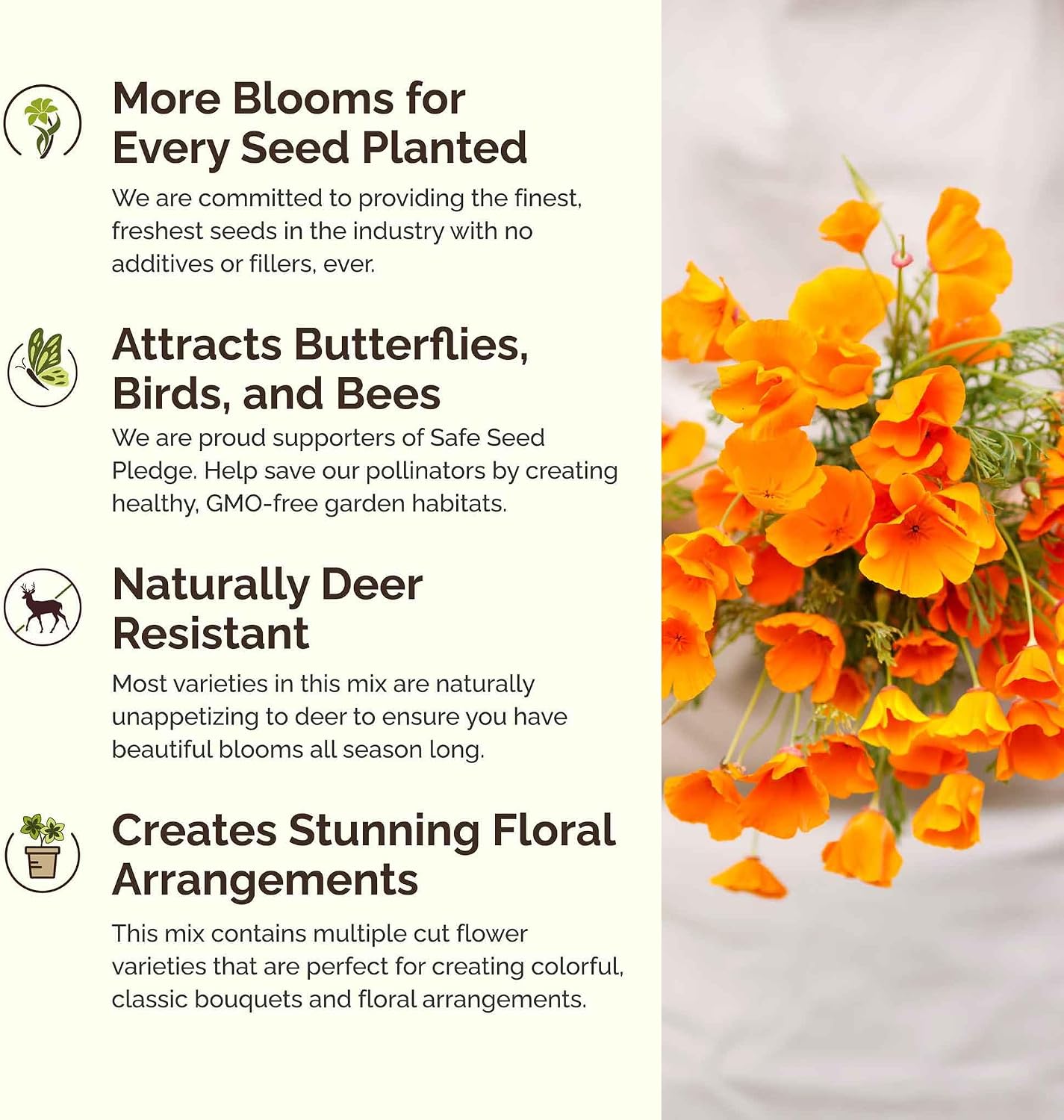 Eden Brothers All Perennial Wildflower Mixed Seeds for Planting, 1 lb, 480,000+ Seeds with Lupine, Shasta Daisy | Attracts Pollinators, Plant in Spring or Fall, Zones 3, 4, 5, 6, 7, 8, 9, 10