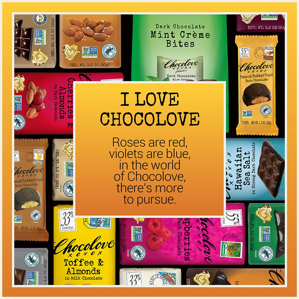 Chocolove Salted Caramel Chocolate Bars | 55% Cocoa | Silky Caramel with a Hint of Salt | Made with Premium Chocolate | Non-GMO, & Gluten-Free, 3.2 oz Bar (10 Pack)