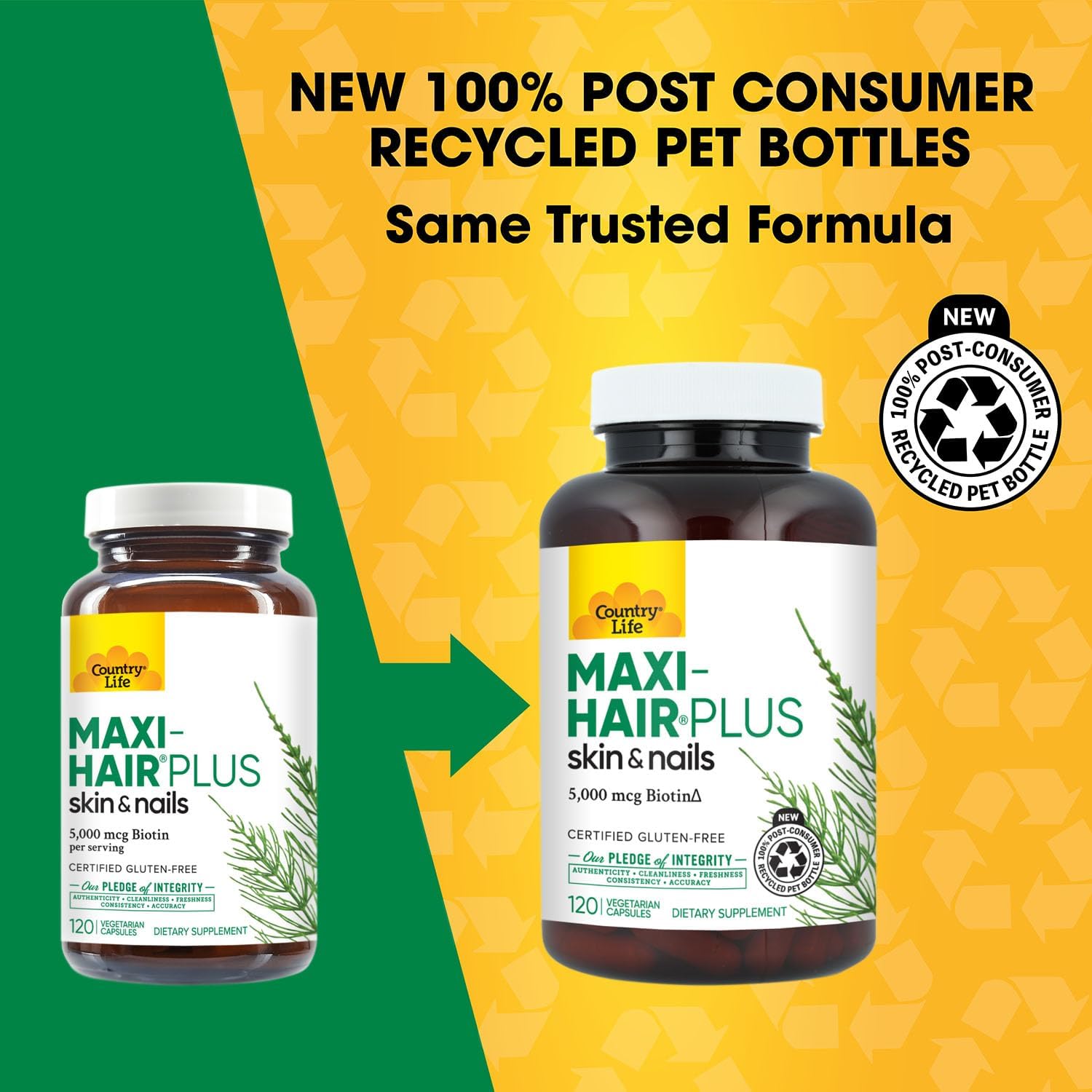 Country Life Maxi-Hair Plus 5,000 mcg Biotin, 120 Capsules | 1,200 mg Maxi Blend with MSM, L-methionine, L-cysteine and horsetail extract; 30 servings