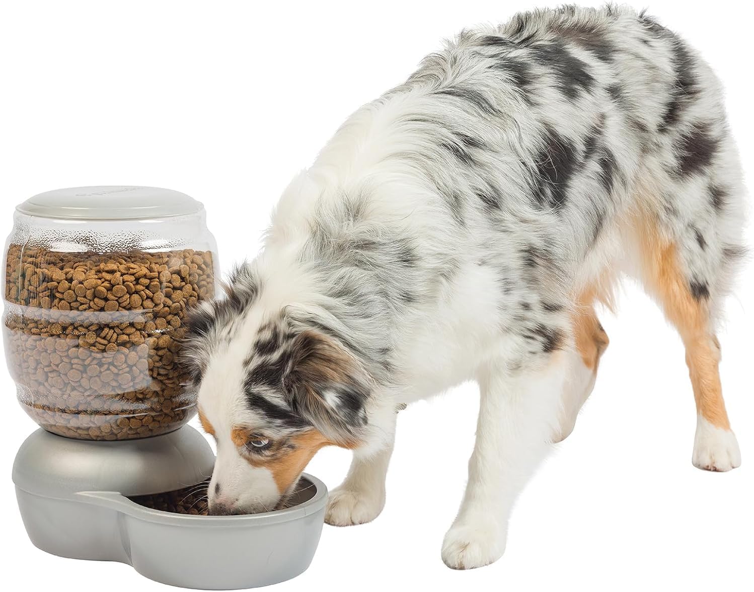 Petmate Replendish Feeder Automatic Cat and Dog Feeder, Pearl Peacock Blue, 10 LB, Made in USA