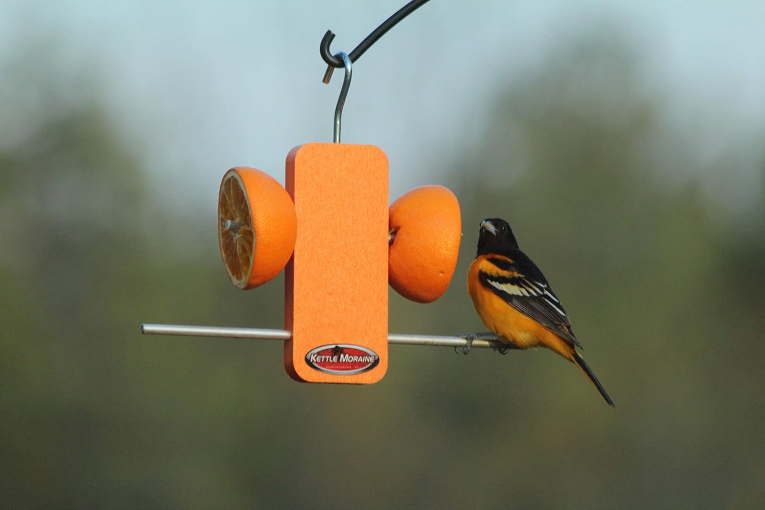 Recycled Single Oriole Orange Fruit Stick Feeder