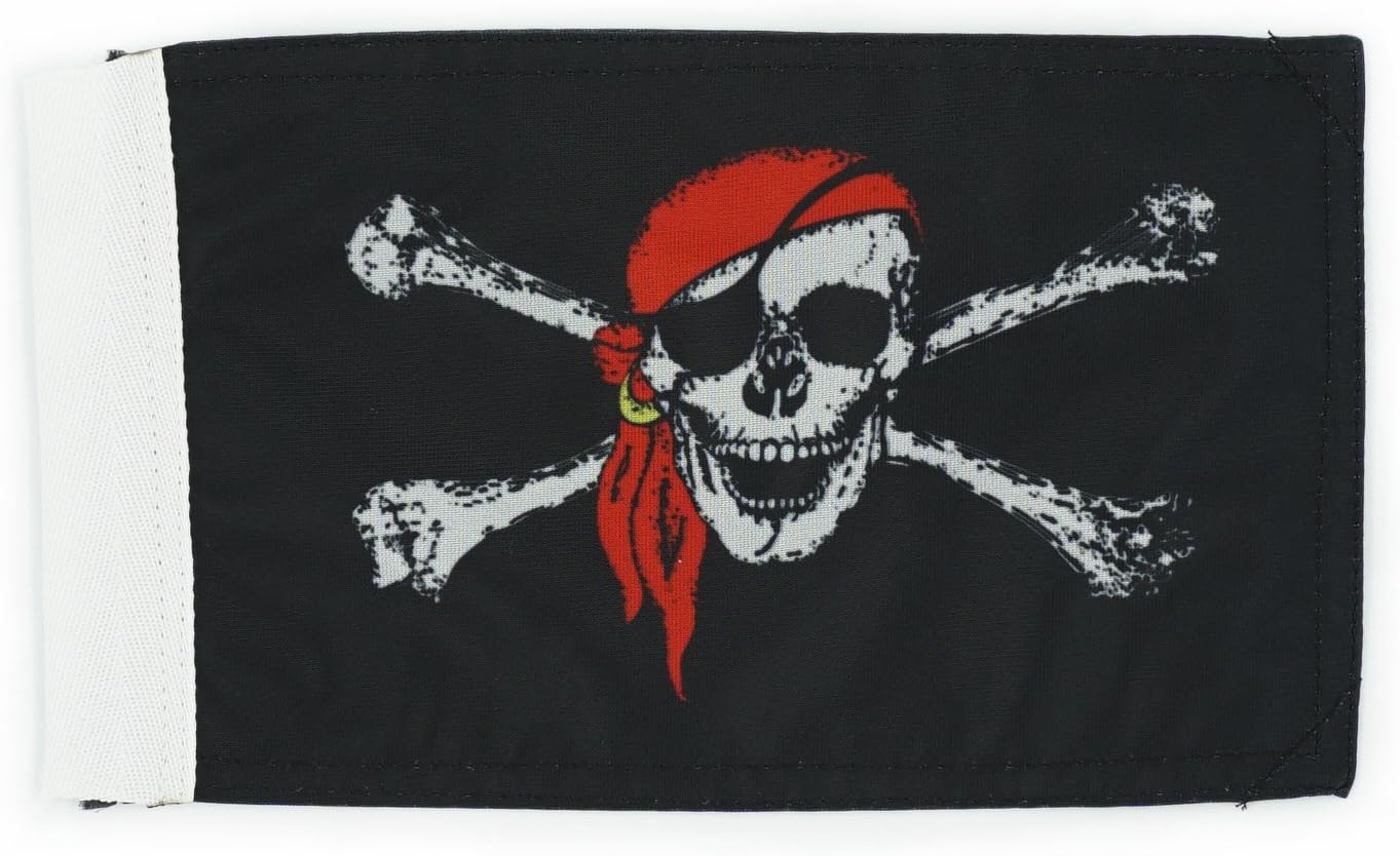 Motorcycle Flag 6 x 9 Or 10 x 15 Inch (6"X9", USA)