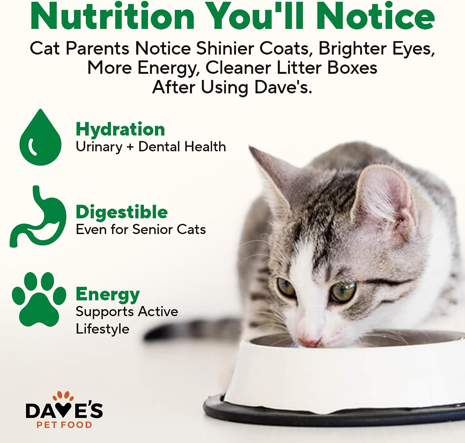 Dave's Pet Food Grain Free Wet Canned Cat Food Pate, Chicken, 12.5 oz, 12pk | Made in USA, Naturally Healthy, Easy to Digest Wheat & Gluten-Free, Use as Topper or Meal, Carrageenan-Free