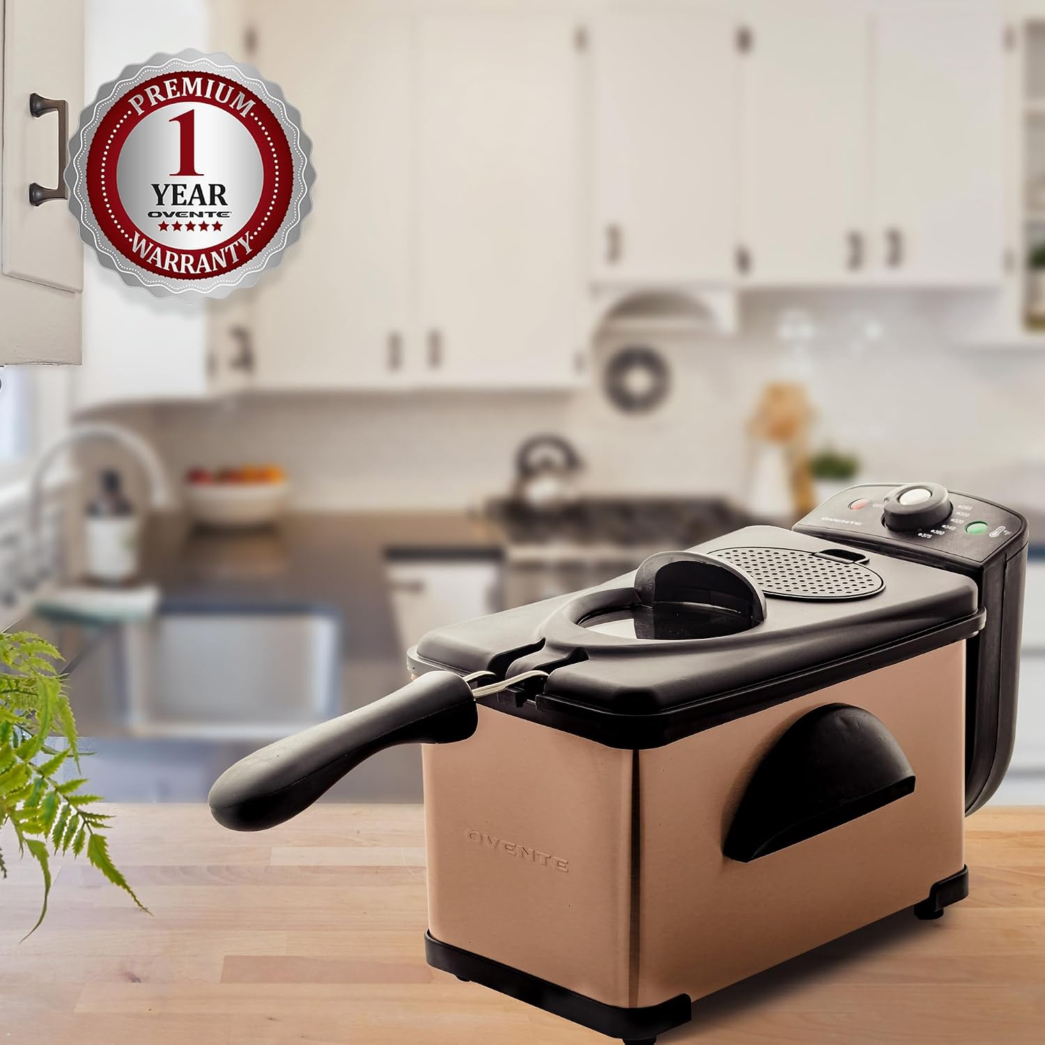 OVENTE Electric Deep Fryer, 0.9L Capacity, 840W, Silver FDM1091BR | Adjustable Temperature Knob, Locking Lid, Removable Frying Basket and Cool Touch Handle, Easy to Clean Stainless Steel Body