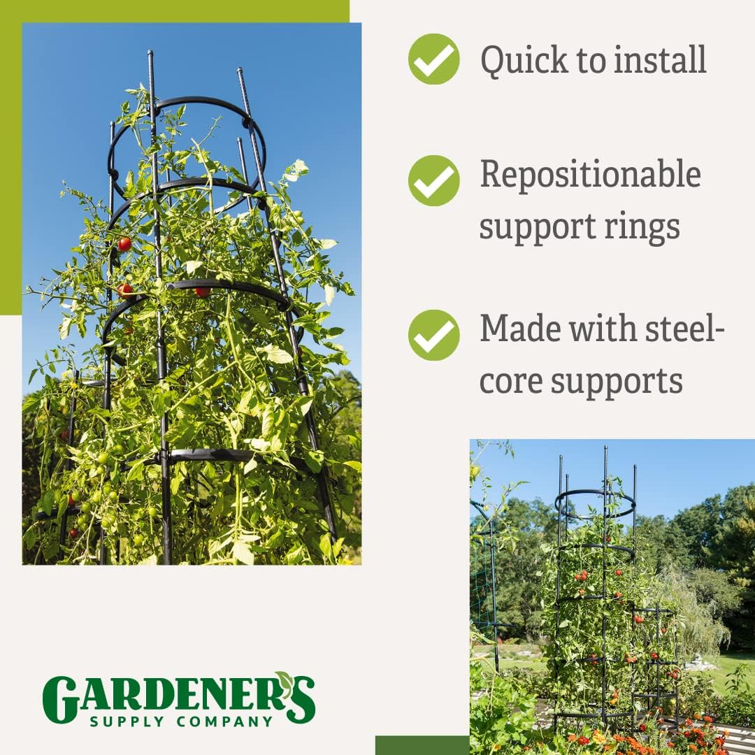 Gardener's Supply Company Titan Extra Tall Tomato Cages I Set of 3 - Sturdy Steel Core Plant Support Trellis for Vegetables & Climbing Plants