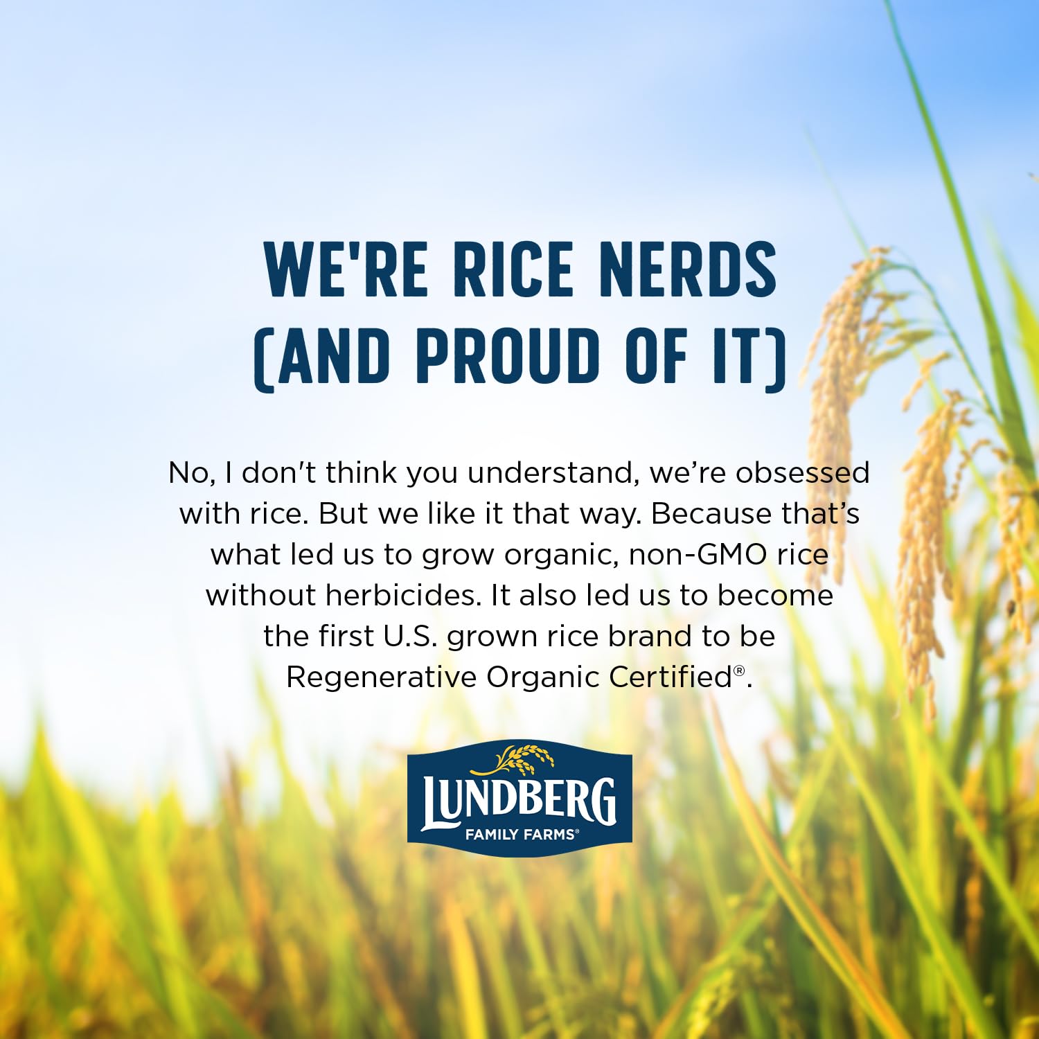 Lundberg Basmati Rice, Long Grain White Rice - Non-Sticky, Fluffy, Nutty, Aromatic Rice, Vegan Food, Healthy Meals, Gluten-Free, Grown in California, 64 Oz