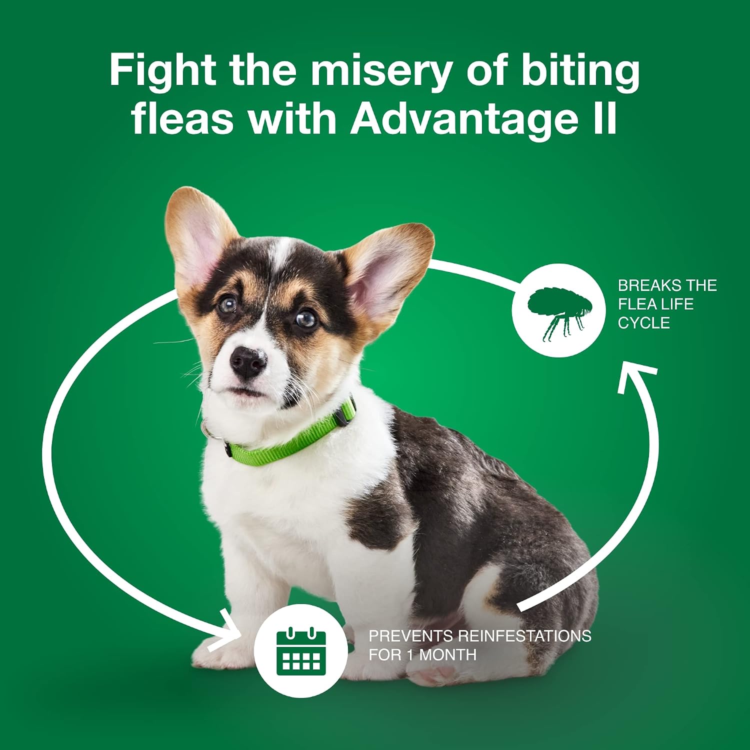 Advantage II Large Dog Vet-Recommended Flea Treatment & Prevention | Dogs 21-55 lbs. | 4-Month Supply