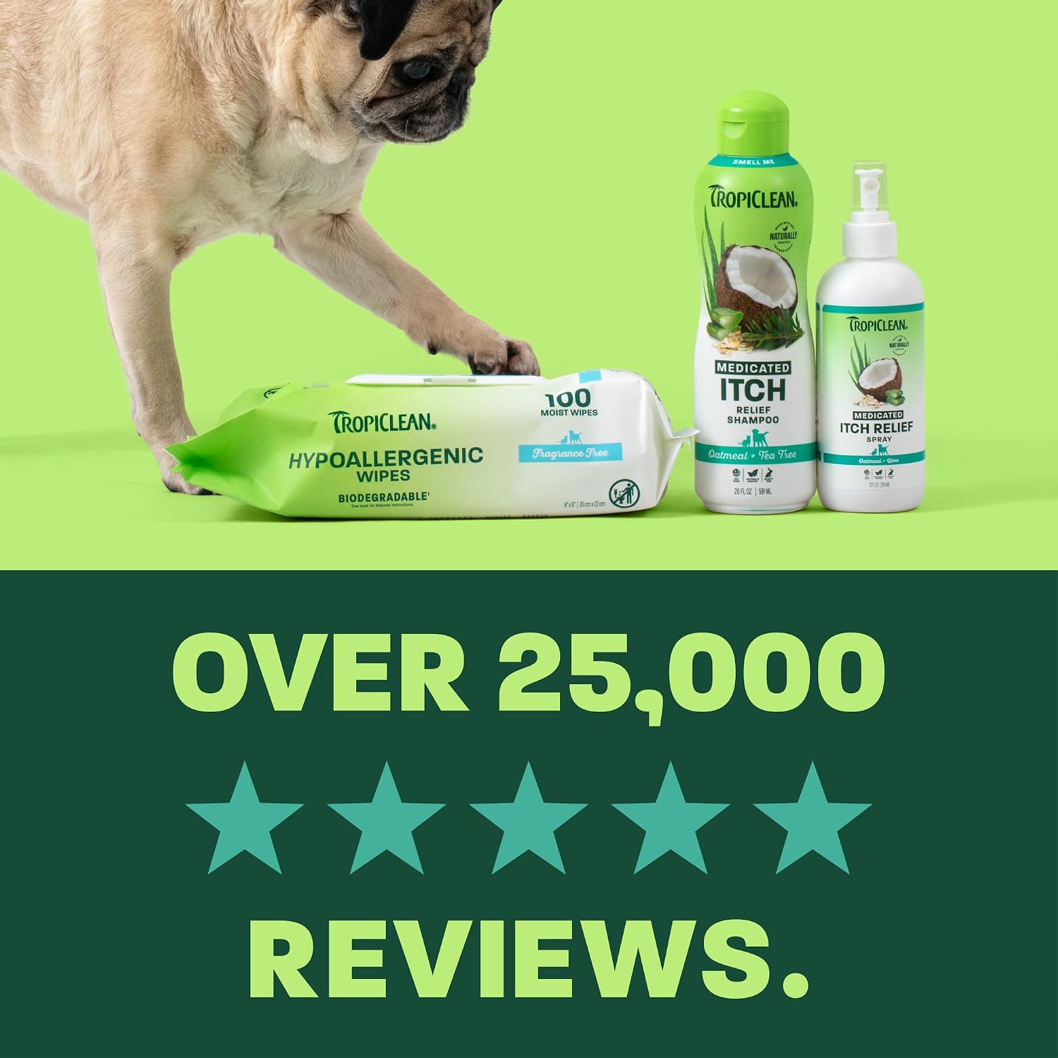 TropiClean Deodorizing Dog Shampoo for Smelly Pets, Long Lasting Odor Control, Puppy Safe, Made in the USA, Berry Scent, Cat Friendly, 20oz.