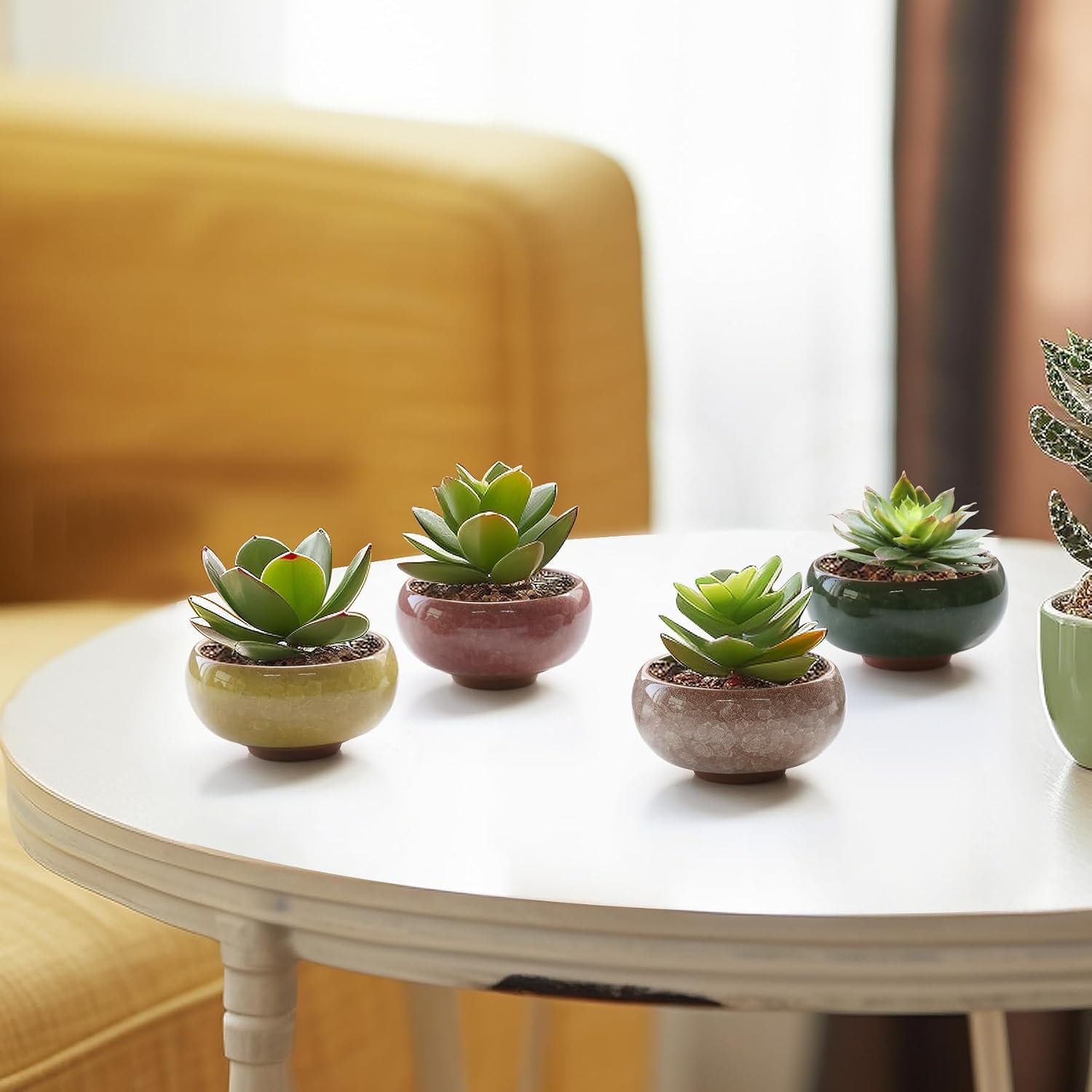 T4U 2.5 Inch Small Ceramic Succulent Planter Pot with Drainage Hole Set of 6, Ice Crack Glaze Plant Container for Cactus, Gardening Plant Gifts for Women Mom Aunt Home Office Decor | Cactus planters set, indoor herb garden, bonsai tree starter, tabletop…