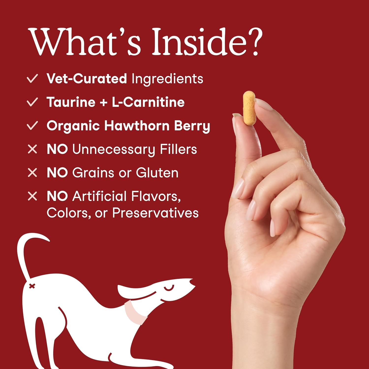 Fera Pets Heart Supplement - Taurine for Dogs & Cats, 60 Capsules