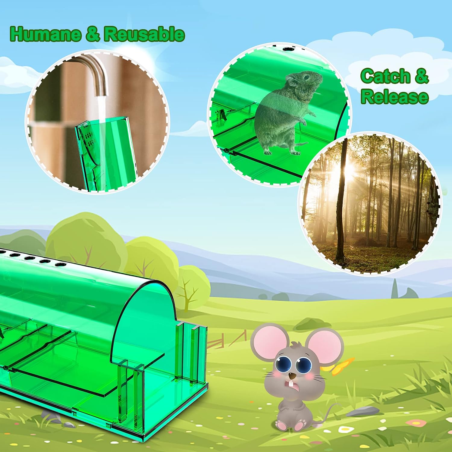 4 Pcs Humane Live Mouse Traps No Kill Reusable Mice Trap Catch