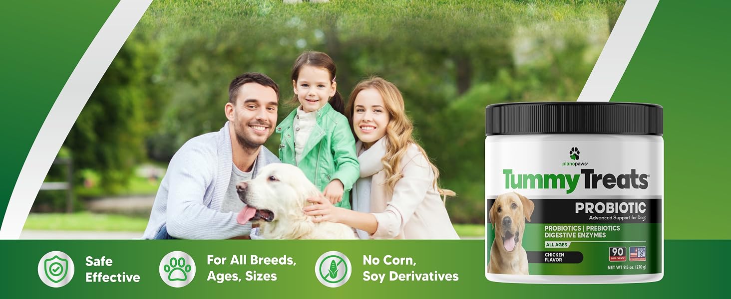 probiotic chews for dogs dog probiotic dog chews probiotic