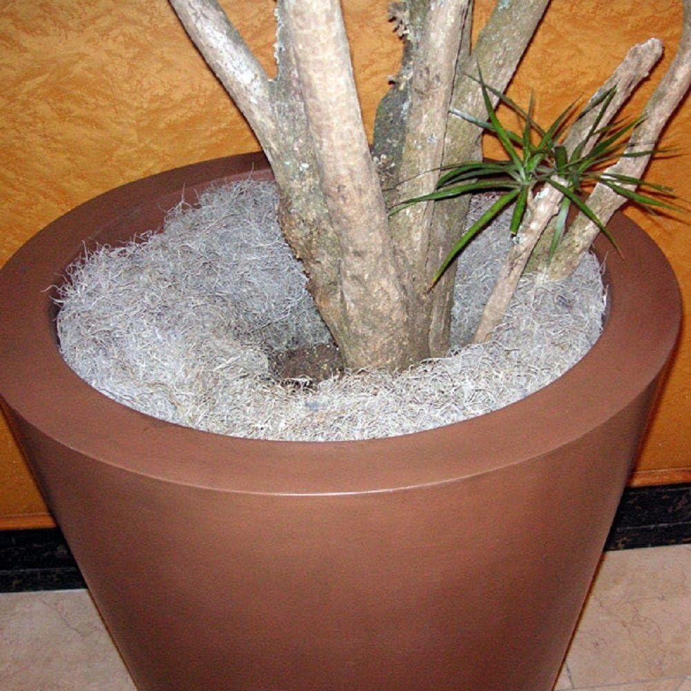 Mosser Lee ML0560 Spanish Moss, 250 Cubic Inches