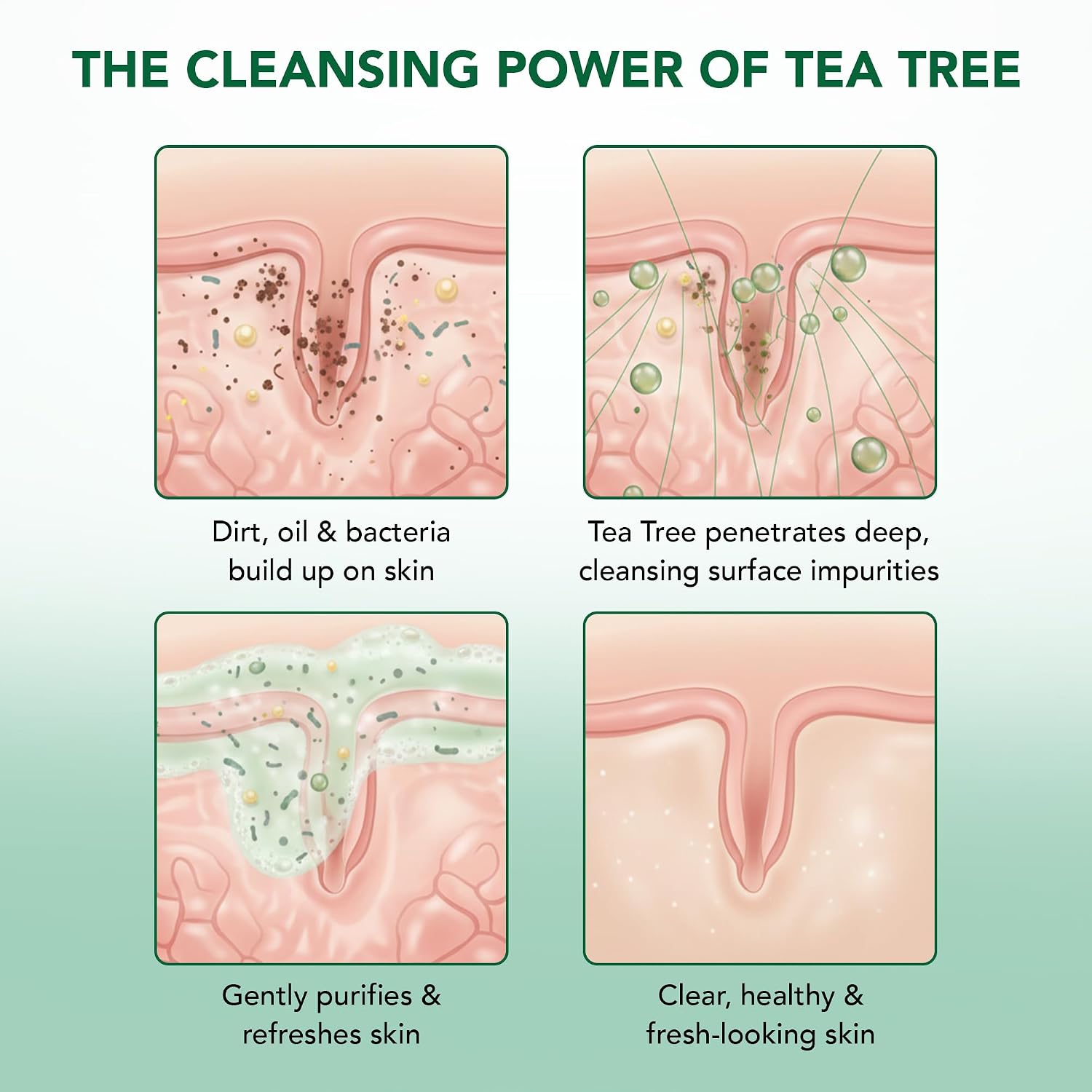 Botanic Hearth Tea Tree Body Wash With 100% Tea Tree Oil - 16 Fl oz