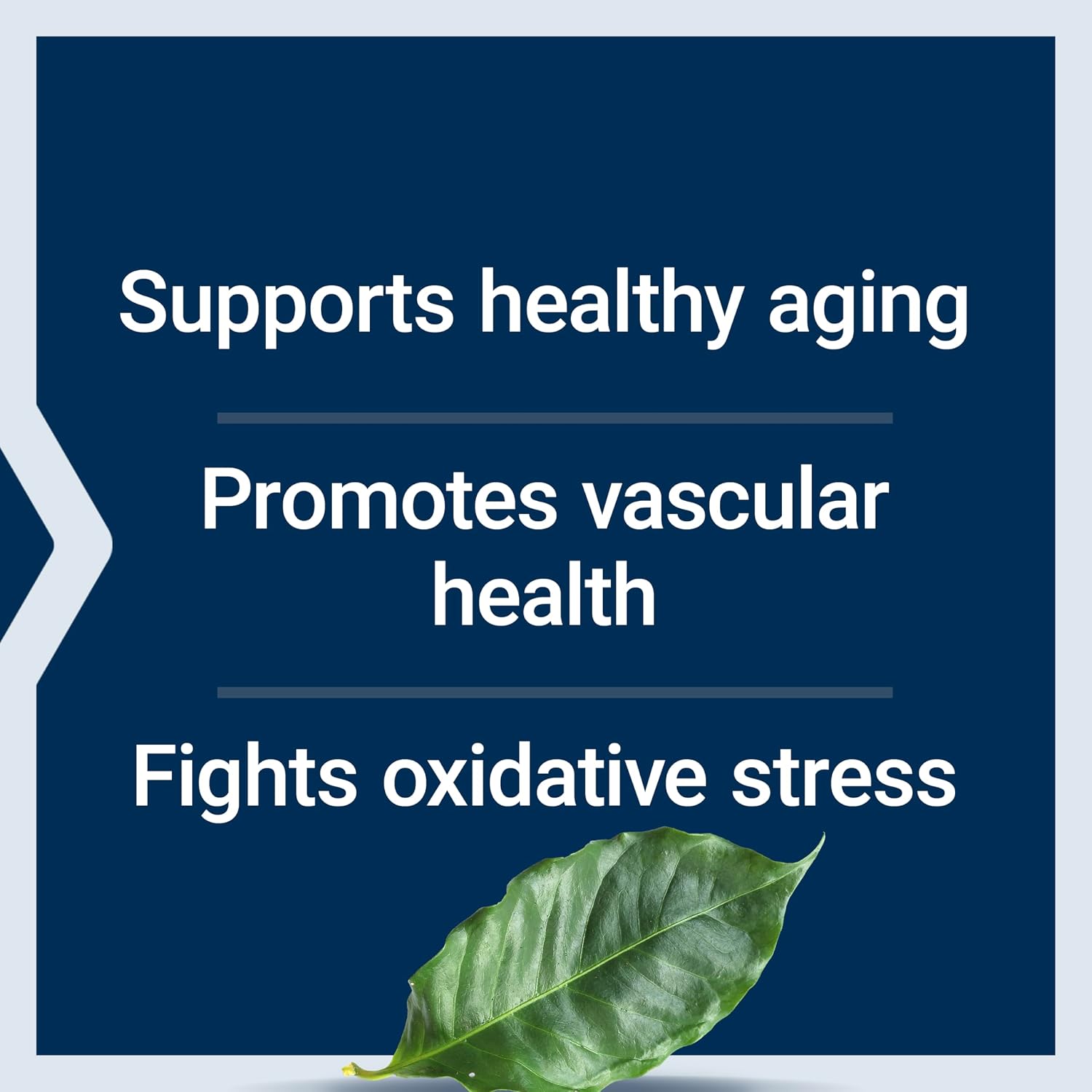 Life Extension Pycnogenol – French Maritime Pine Bark Extract – Scientifically Studied Healthy Aging & Vascular Health Supplement – Non-GMO, Gluten-Free, Vegetarian – 60 Capsules | Scientifically Studied Formula Supports Healthy Aging & Vascular Health,…
