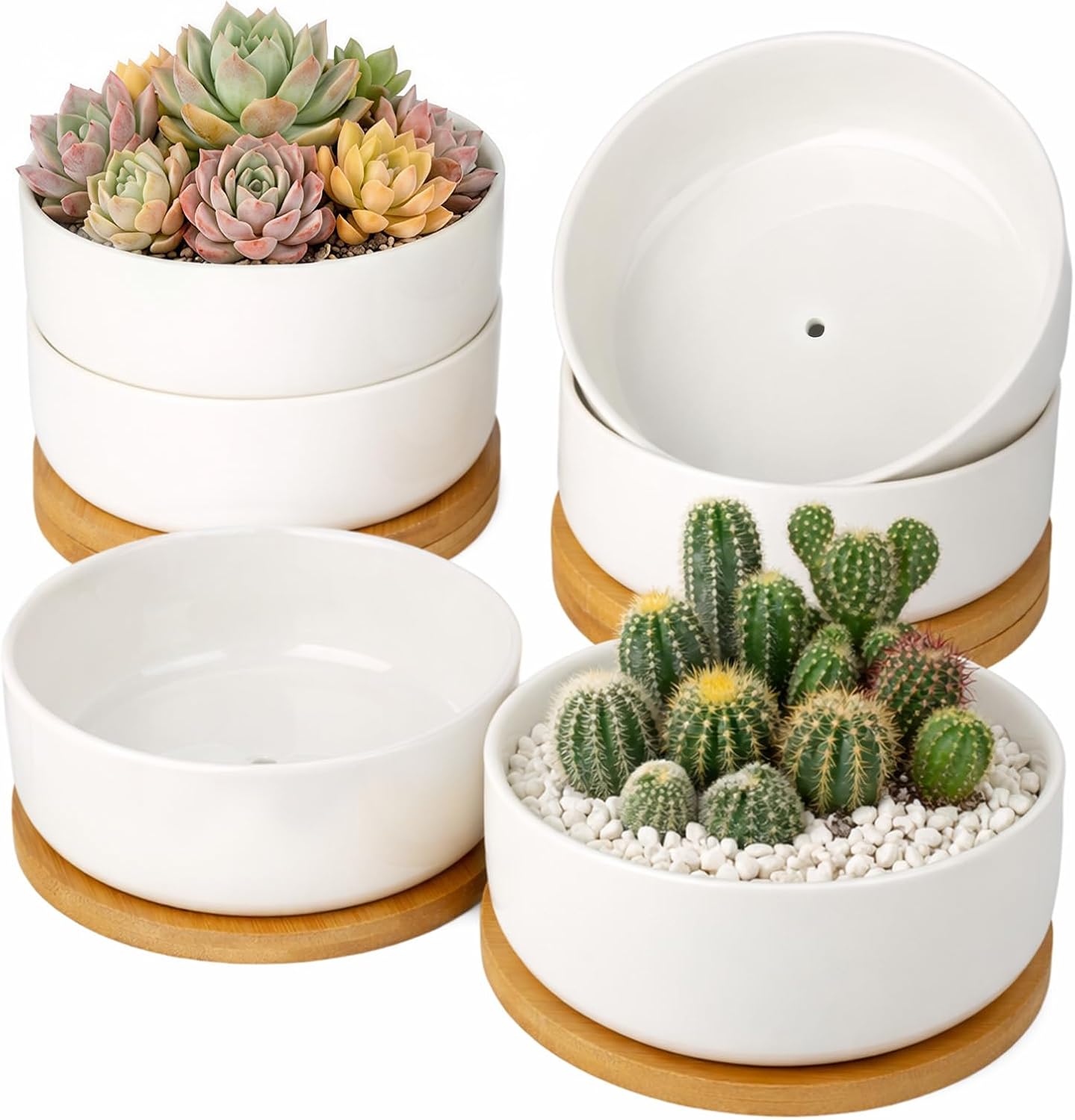 ZOUTOG 2 Pack 6" Ceramic Succulent Pots, White Planters with Drainage Tray