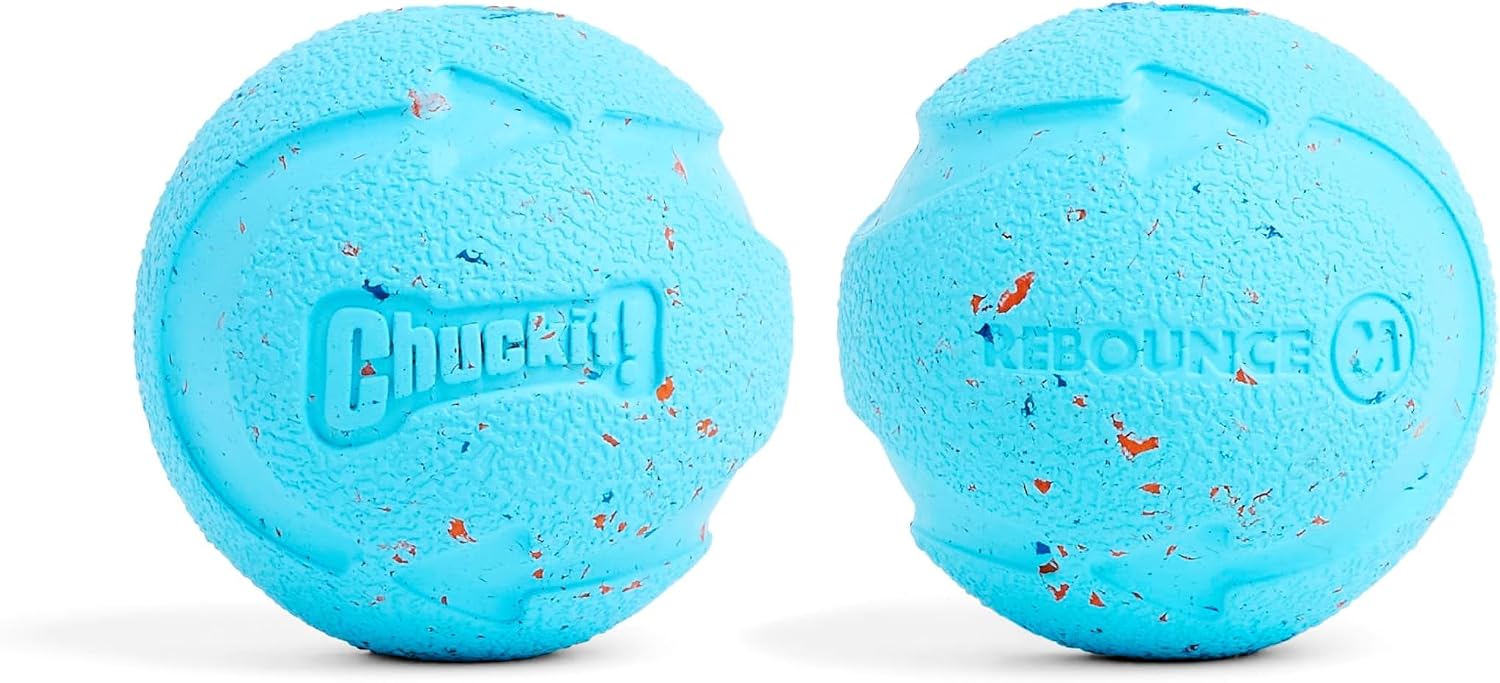Chuckit! Rebounce Ball Dog Toy, Medium 2.5 Inch, for Dogs 20-60 lbs, Blue | Bouncy rubber build, unpredictable bounce pattern, durable outdoor construction, pack of 2 balls, great for playtime today