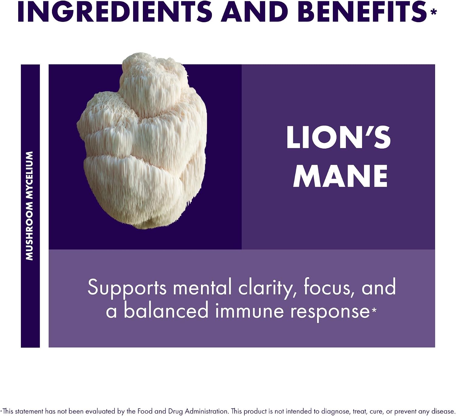 Host Defense Mushrooms Lion's Mane - Brain Health Support Supplement for Focus & Memory Function - Immune & Nervous System Support Supplement- 30 Capsules