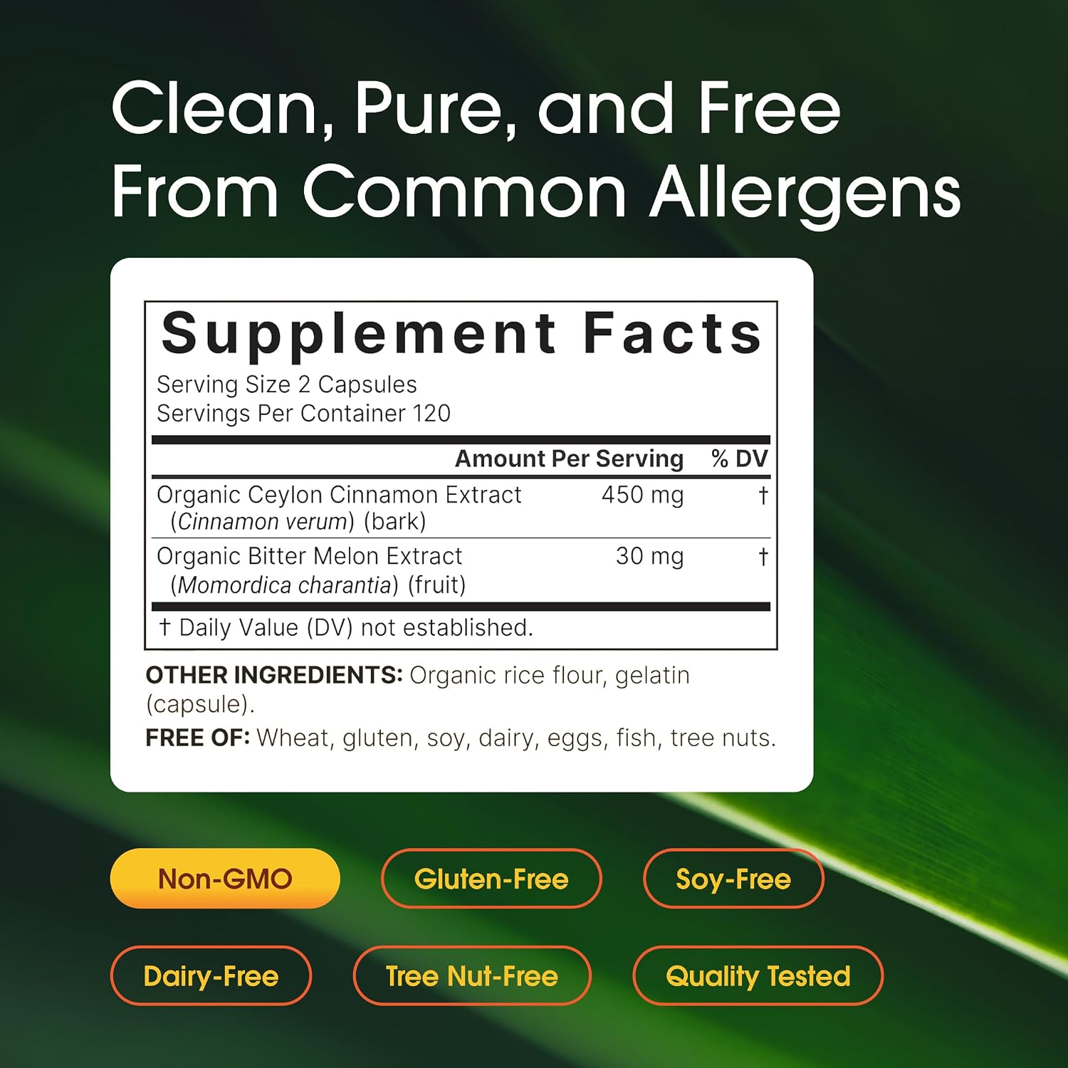 NatureBell 2 Pack Ceylon Cinnamon with Bitter Melon, 240 Capsules | Made with Organic Sri Lanka Ceylon Cinnamon and Organic Bitter Melon | Non-GMO