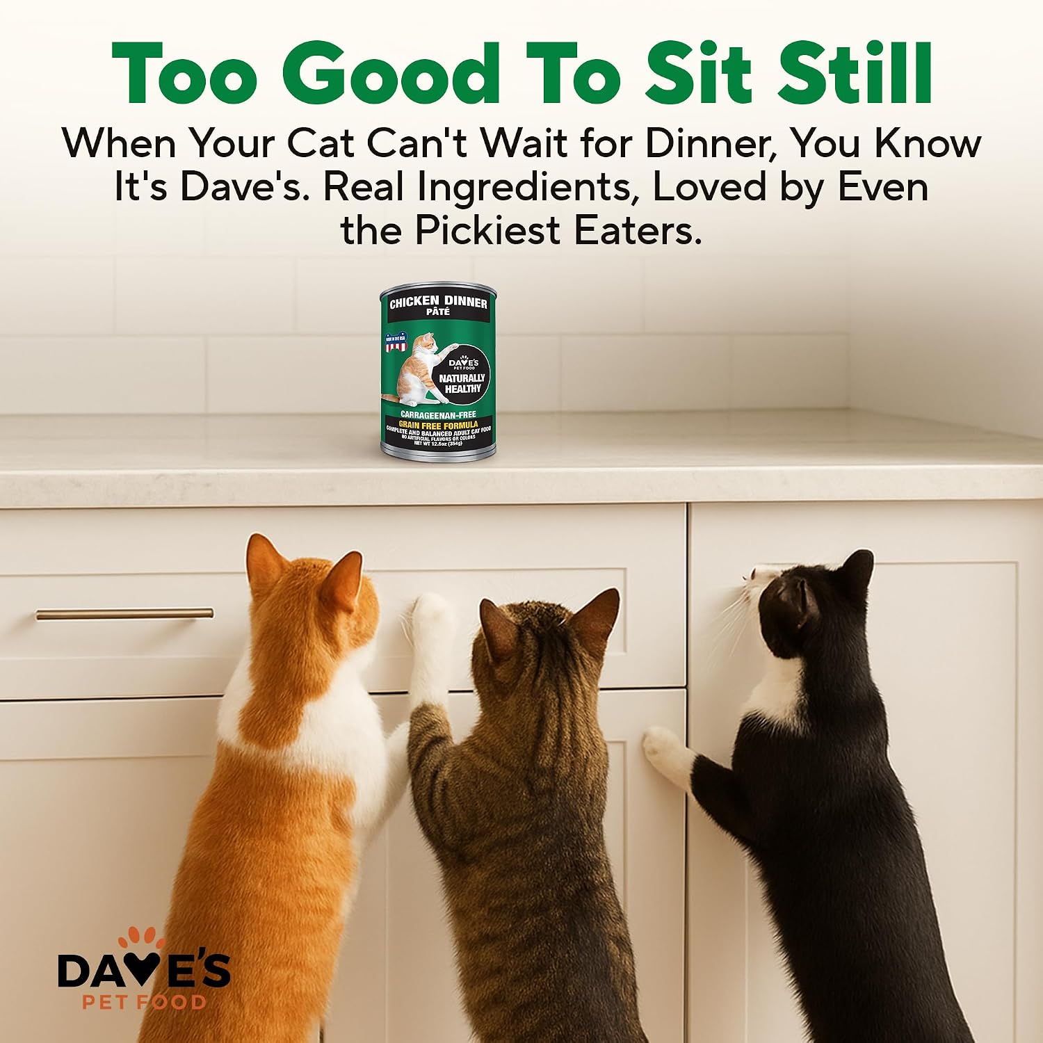 Dave's Pet Food Grain Free Wet Canned Cat Food Pate, Chicken, 12.5 oz, 12pk | Made in USA, Naturally Healthy, Easy to Digest Wheat & Gluten-Free, Use as Topper or Meal, Carrageenan-Free
