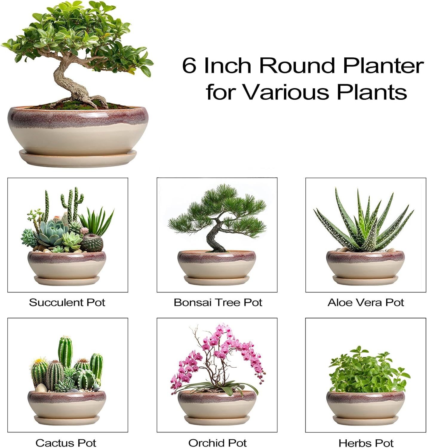 SQOWL 7 Inch Round Ceramic Succulent Planter Pot Drip Glazed Shallow Planter with Drainage Bamboo Tray for Indoor Plants