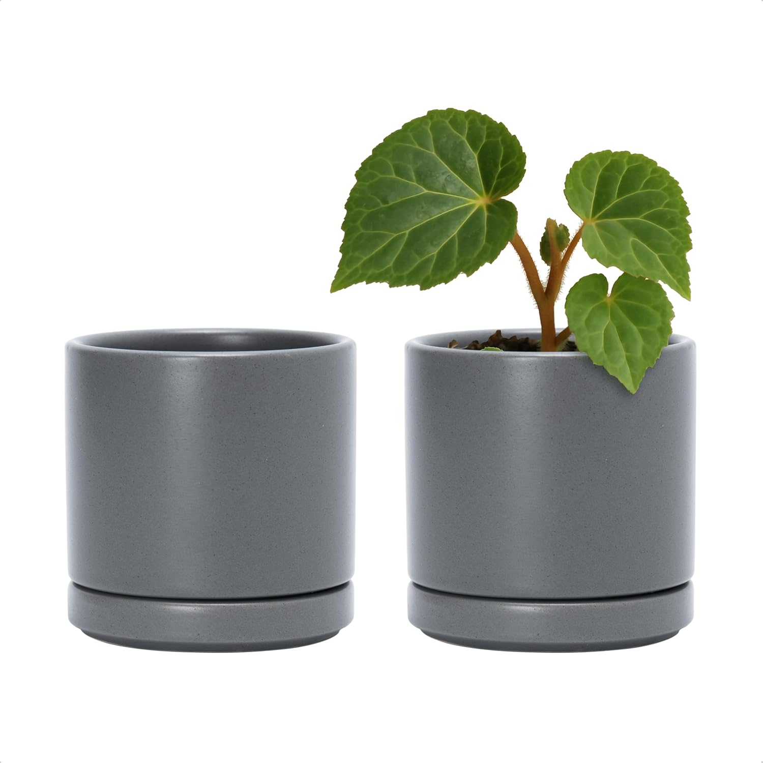 D'vine Dev 2-Pack Ceramic Pots with Saucers, White/Grey, 4.7 in, 94-V-B-6