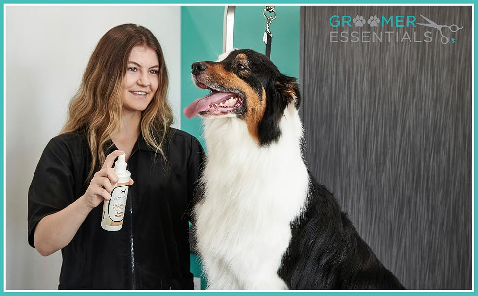 Bath and coat care. Groomer applying fragrance to a well groomed dog.
