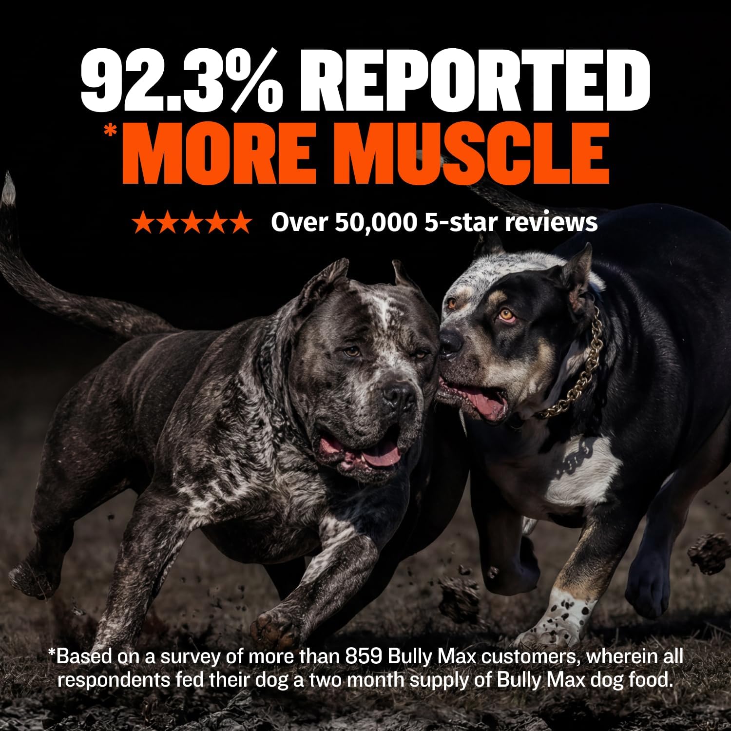 Bully Max Dry Dog Food for Adults & Puppies - High Protein & Fat for Muscle & Weight Gain - High Performance Dog Food Supplements - Small & Large Breed Dogs (535 Calories Per Cup), Chicken, 15lb Bag