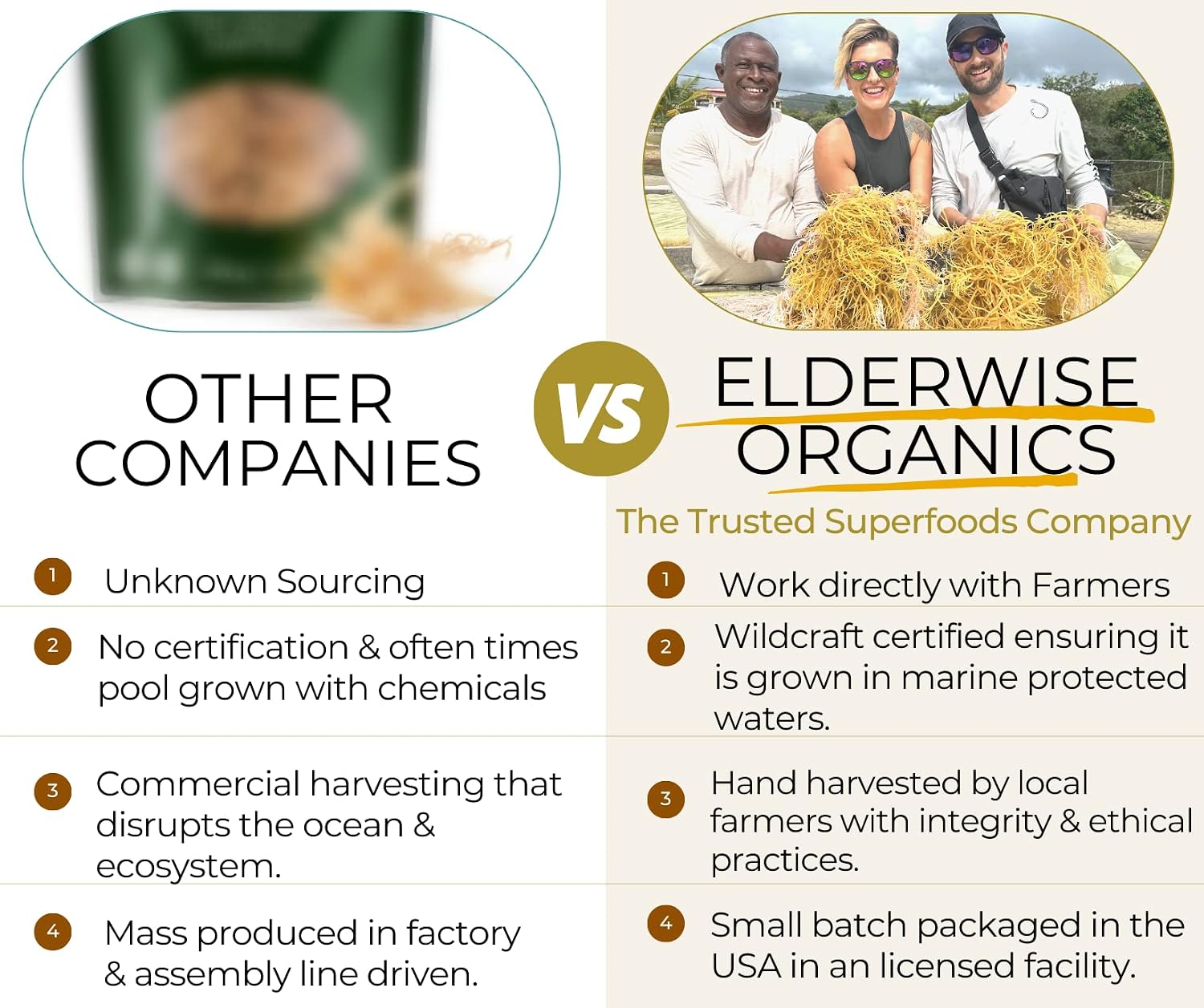 Elderwise Golden Sea Moss, Raw Wildcrafted Gracilaria, Makes 24oz Gel