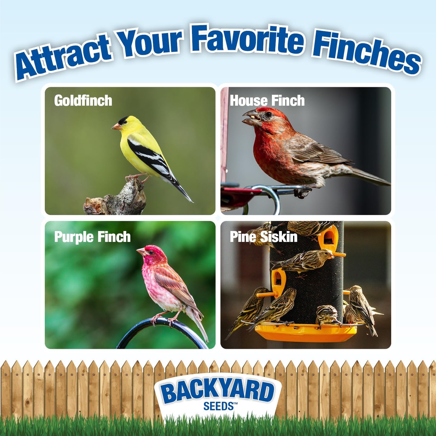 Backyard Seeds Woodpecker No-Waste Bird Seed Mix 5lbs - Premium Shelled Peanuts & Sunflower Chips, Small Bag of Wild Bird Food