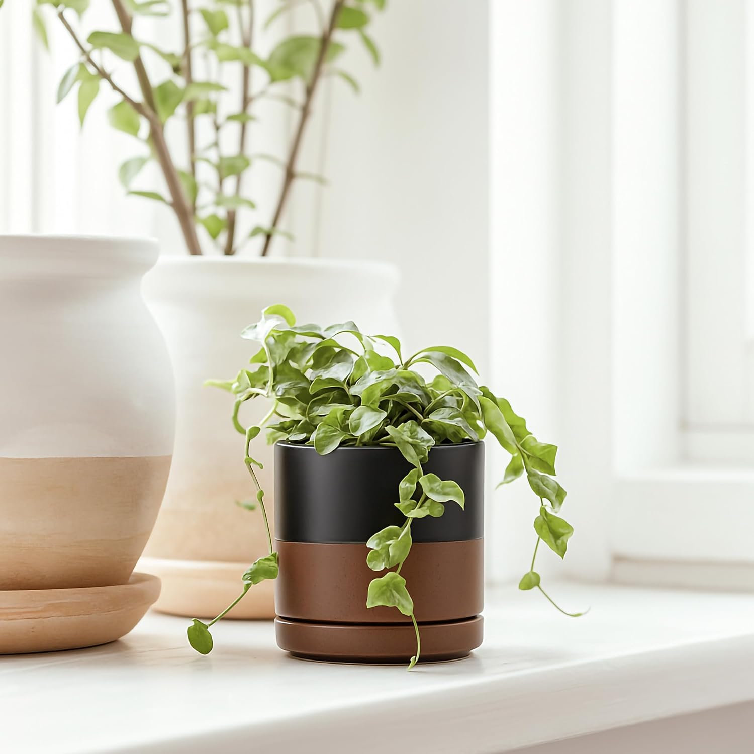 D'vine Dev 2-Pack Ceramic Pots with Saucers, White/Grey, 4.7 in, 94-V-B-6