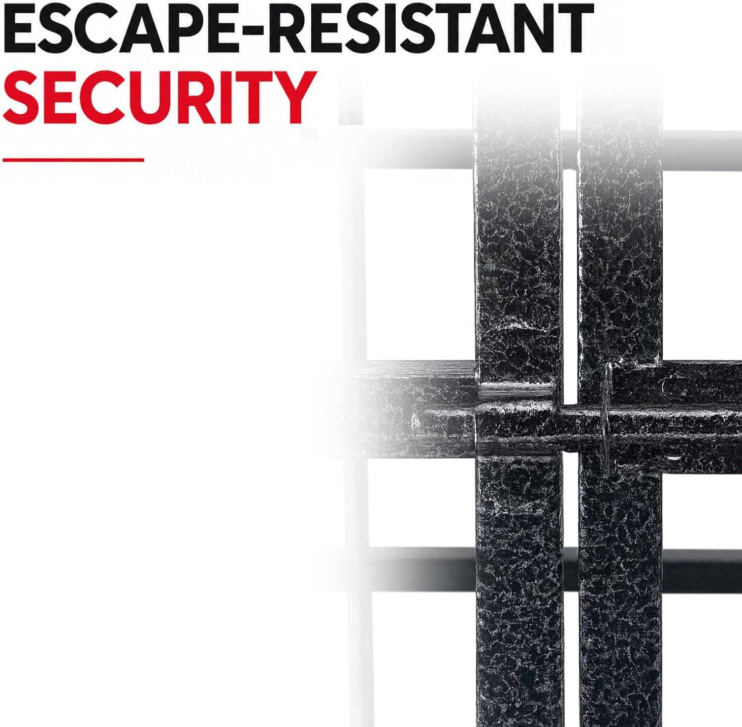 ProSelect Empire Cages - Medium