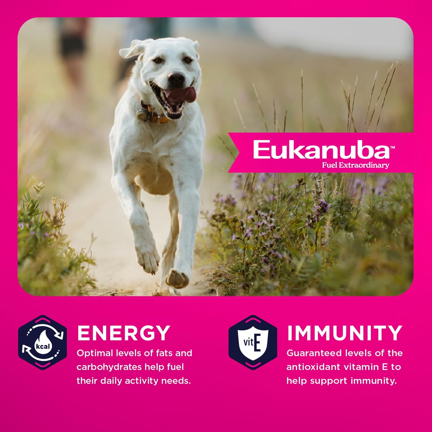 Eukanuba Adult Large Breed Dry Dog Food, 35 lb Bag