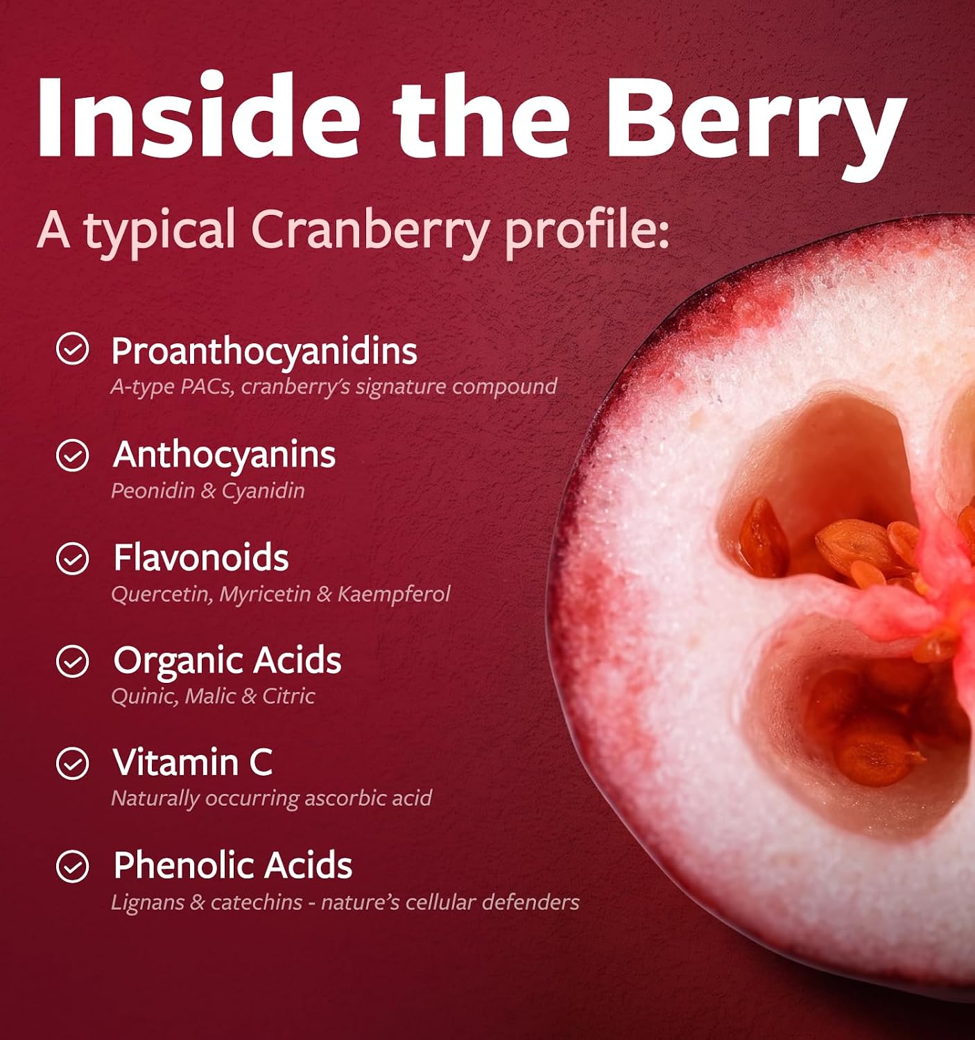 Organic Cranberry Pills - Vegan Supplement for Urinary Tract Health & Kidney Cleanse - Cranberry Pills for Women 500mg 50:1 Cranberry Concentrate Per Serving - Urinary Tract Support - 60 Capsules