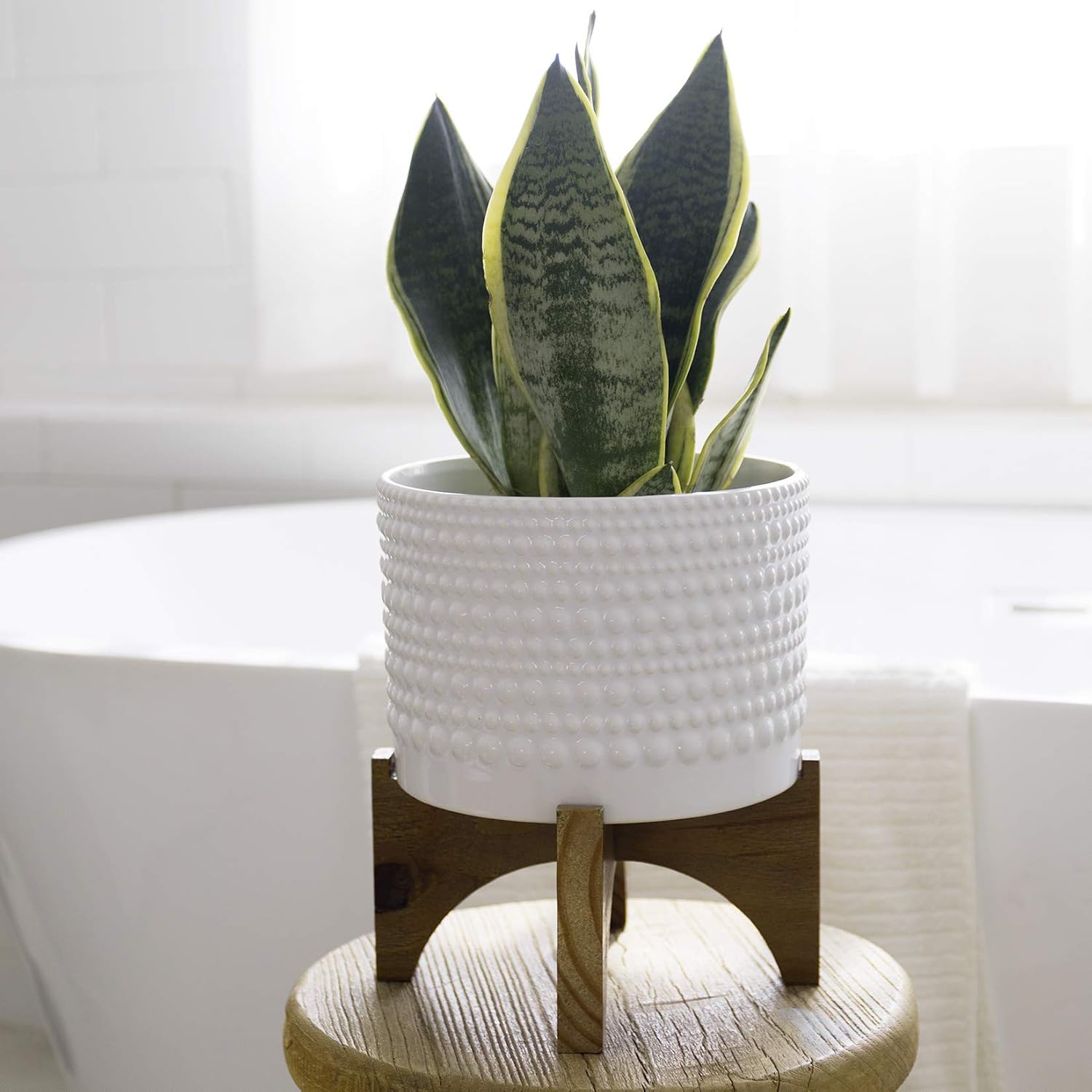 LA Jolie Muse Ceramic Pot for Plants, 8 Inch Indoor Planter with Stand