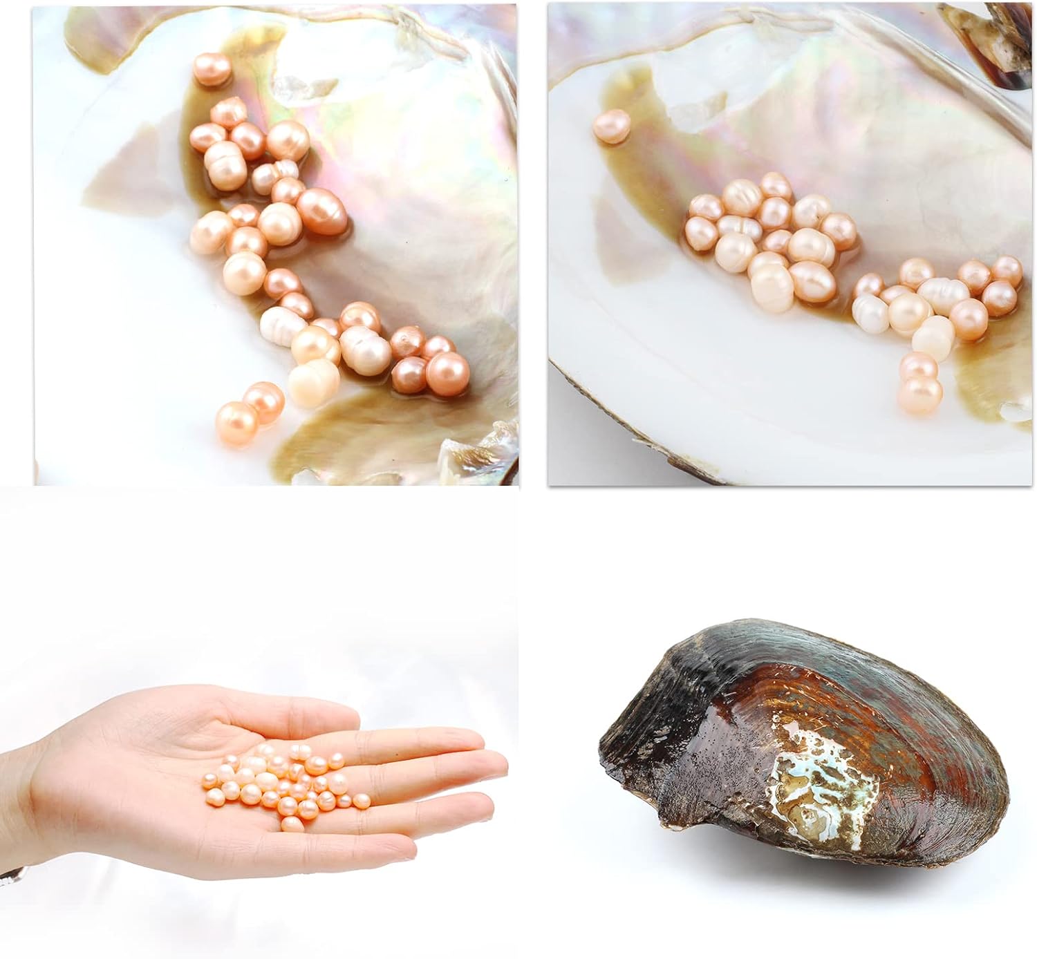 Oyster Pearls, Monster Oysters with Pearls Inside 5-8mm 25 PCs Cultured Freshwater Pearl Pearl an Oysters Home Decoration Jewelry Making