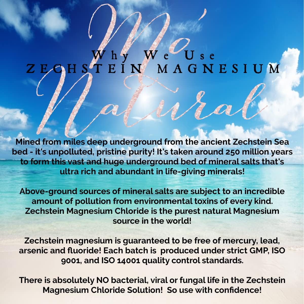Mo' Maggie Magnesium Cream with Authentic Zechstein Minerals, Shea Butter | High concentration, 8 oz., organic opulent oils, deep seabed source