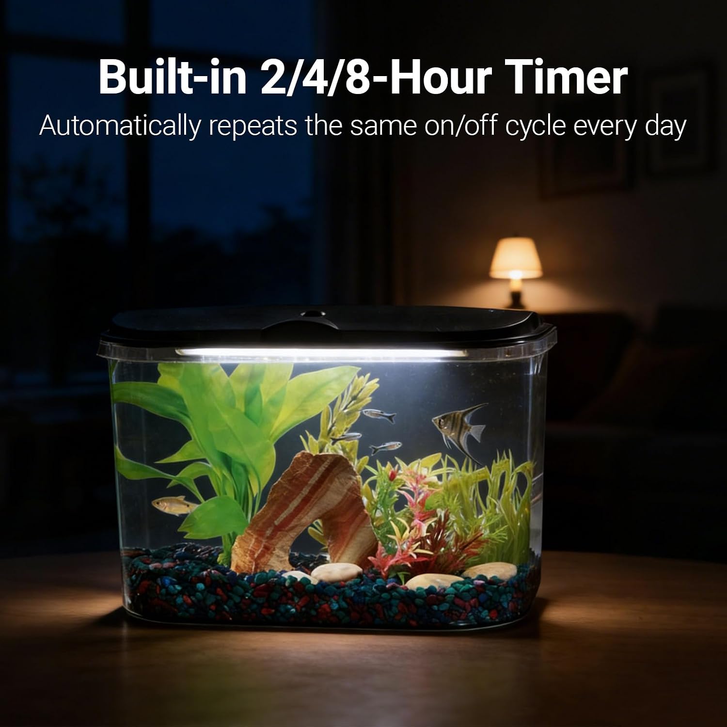 Koller Products 5-Gallon Aquarium Kit with LED Lighting and Power Filter, Ideal for a Variety of Tropical Fish